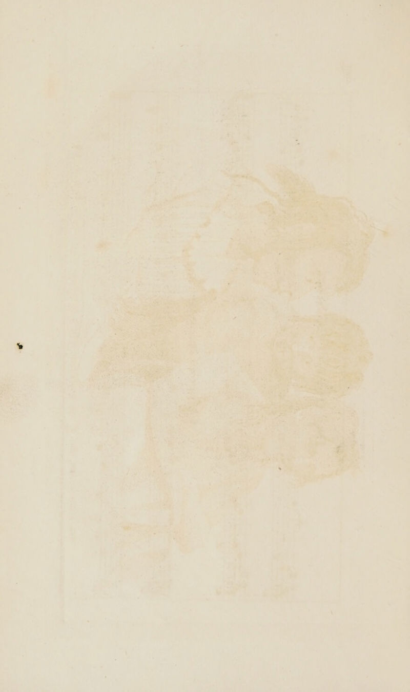 « ee. ae om + is ed ~ - wine