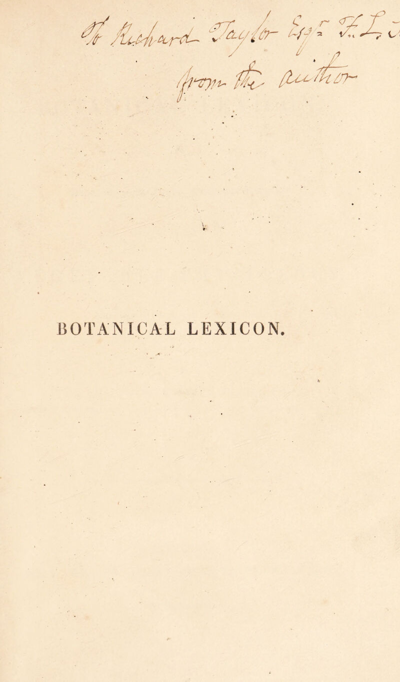 BOTANICAL LEXICON.