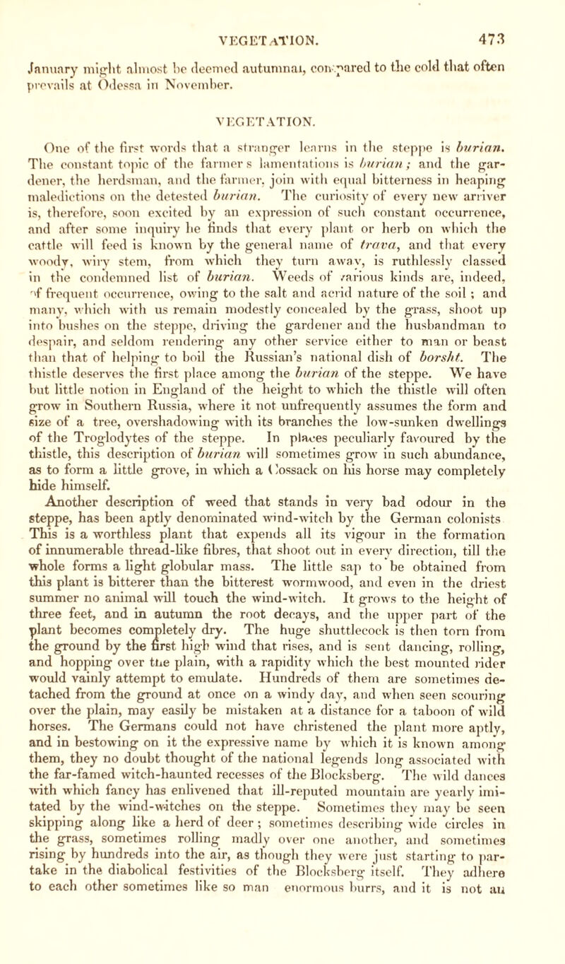 January might almost lie deemed autumnal, compared to the cold that often prevails at Odessa in November. VEGETATION. One of the first words that a stranger learns in the steppe is burian. The constant topic of the farmers lamentations is burian; and the gar¬ dener, the herdsman, and the farmer, join with equal bitterness in heaping maledictions on the detested burian. The curiosity of every new arriver is, therefore, soon excited by an expression of such constant occurrence, and after some inquiry he finds that every plant or herb on which the cattle will feed is known by the general name of trava, and that every woody, wiry stem, from which they turn away, is ruthlessly classed in the condemned list of burian. Weeds of various kinds are, indeed, of frequent occurrence, owing to the salt and acrid nature of the soil ; and many, which with us remain modestly concealed by the grass, shoot up into bushes on the steppe, driving the gardener and the husbandman to despair, and seldom rendering any other service either to man or beast than that of helping to boil the Russian’s national dish of bors/it. The thistle deserves the first place among the burian of the steppe. We have but little notion in England of the height to which the thistle will often grow in Southern Russia, where it not unfrequently assumes the form and size of a tree, overshadowing with its branches the low-sunken dwellings of the Troglodytes of the steppe. In places peculiarly favoured by the thistle, this description of burian will sometimes grow in such abundance, as to form a little grove, in which a (lossack on his horse may completely hide himself. Another description of weed that stands in very bad odour in the steppe, has been aptly denominated wind-witch by the German colonists This is a worthless plant that expends all its vigour in the formation of innumerable thread-like fibres, that shoot out in every direction, till the whole forms a light globular mass. The little sap to be obtained from this plant is bitterer than the bitterest wormwood, and even in the driest summer no animal will touch the wind-witch. It grows to the height of three feet, and in autumn the root decays, and the upper part of the plant becomes completely dry. The huge shuttlecock is then torn from the ground by the first high wind that rises, and is sent dancing, rolling, and hopping over the plain, with a rapidity which the best mounted rider would vainly attempt to emulate. Hundreds of them are sometimes de¬ tached from the ground at once on a windy day, and when seen scouring over the plain, may easily be mistaken at a distance for a taboon of wild horses. The Germans could not have christened the plant more aptly, and in bestowing on it the expressive name by which it is known among them, they no doubt thought of the national legends long associated with the far-famed witch-haunted recesses of the Blocksberg. The wild dances with which fancy has enlivened that ill-reputed mountain are yearly imi¬ tated by the wind-w-itches on the steppe. Sometimes they may be seen skipping along like a herd of deer; sometimes describing wide circles in the grass, sometimes rolling madly over one another, and sometimes rising by hundreds into the air, as though they were just starting to par¬ take in the diabolical festivities of the Blocksberg itself. They adhere to each other sometimes like so man enormous burrs, and it is not an