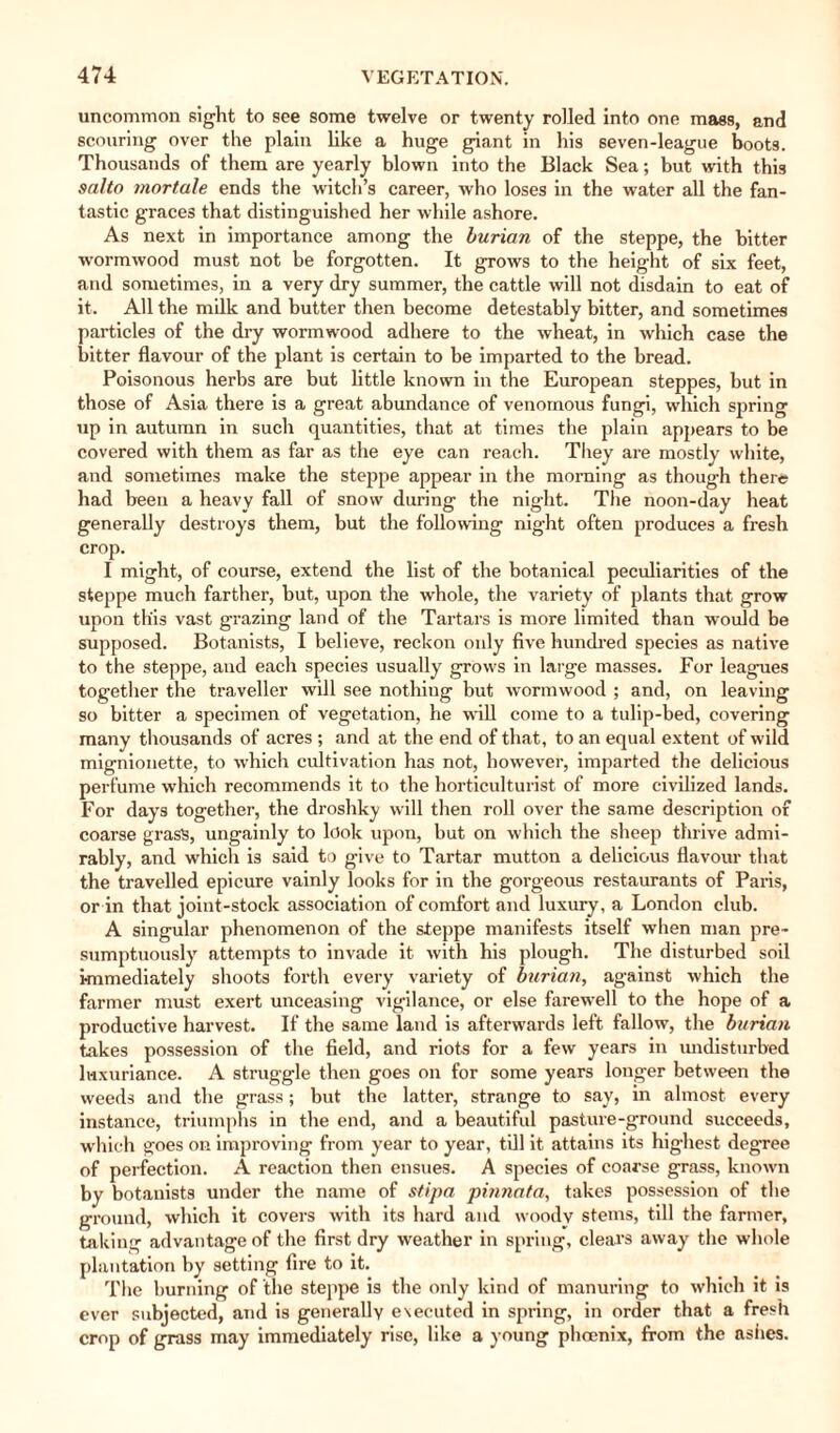 uncommon sight to see some twelve or twenty rolled into one mass, and scouring over the plain like a huge giant in his seven-league boots. Thousands of them are yearly blown into the Black Sea; but with this salto mortale ends the witch’s career, who loses in the water all the fan¬ tastic graces that distinguished her while ashore. As next in importance among the burian of the steppe, the hitter wormwood must not be forgotten. It grows to the height of six feet, and sometimes, in a very dry summer, the cattle will not disdain to eat of it. All the milk and butter then become detestably bitter, and sometimes particles of the dry wormwood adhere to the wheat, in which case the hitter flavour of the plant is certain to be imparted to the bread. Poisonous herbs are but little known in the European steppes, but in those of Asia there is a great abundance of venomous fungi, which spring up in autumn in such quantities, that at times the plain appears to be covered with them as far as the eye can reach. They are mostly white, and sometimes make the steppe appear in the morning as though there had been a heavy fall of snow during the night. The noon-day heat generally destroys them, but the following night often produces a fresh crop. I might, of course, extend the list of the botanical peculiarities of the steppe much farther, but, upon the whole, the variety of plants that grow upon this vast grazing land of the Tartars is more limited than would be supposed. Botanists, I believe, reckon only five hundred species as native to the steppe, and each species usually grows in large masses. For leagues together the traveller will see nothing but wormwood ; and, on leaving so bitter a specimen of vegetation, he will come to a tulip-bed, covering many thousands of acres ; and at the end of that, to an equal extent of wild mignionette, to which cultivation has not, however, imparted the delicious perfume which recommends it to the horticulturist of more civilized lands. For days together, the droshky will then roll over the same description of coarse grass, ungainly to look upon, but on which the sheep thrive admi¬ rably, and which is said to give to Tartar mutton a delicious flavour that the travelled epicure vainly looks for in the gorgeous restaurants of Paris, or in that joint-stock association of comfort and luxury, a London club. A singular phenomenon of the steppe manifests itself when man pre¬ sumptuously attempts to invade it with his plough. The disturbed soil Immediately shoots forth every variety of burian, against which the farmer must exert unceasing vigilance, or else farewell to the hope of a productive harvest. If the same land is afterwards left fallow, the burian takes possession of the field, and riots for a few years in undisturbed luxuriance. A struggle then goes on for some years longer between the weeds and the grass; but the latter, strange to say, in almost every instance, triumphs in the end, and a beautiful pasture-ground succeeds, which goes on improving from year to year, till it attains its highest degree of perfection. A reaction then ensues. A species of coarse grass, known by botanists under the name of stipa pinnata, takes possession of the ground, which it covers with its hard and woody stems, till the farmer, taking advantage of the first dry weather in spring, clears away the whole plantation by setting fire to it. The burning of the steppe is the only kind of manuring to which it is ever subjected, and is generally executed in spring, in order that a fresh crop of grass may immediately rise, like a young phoenix, from the ashes.