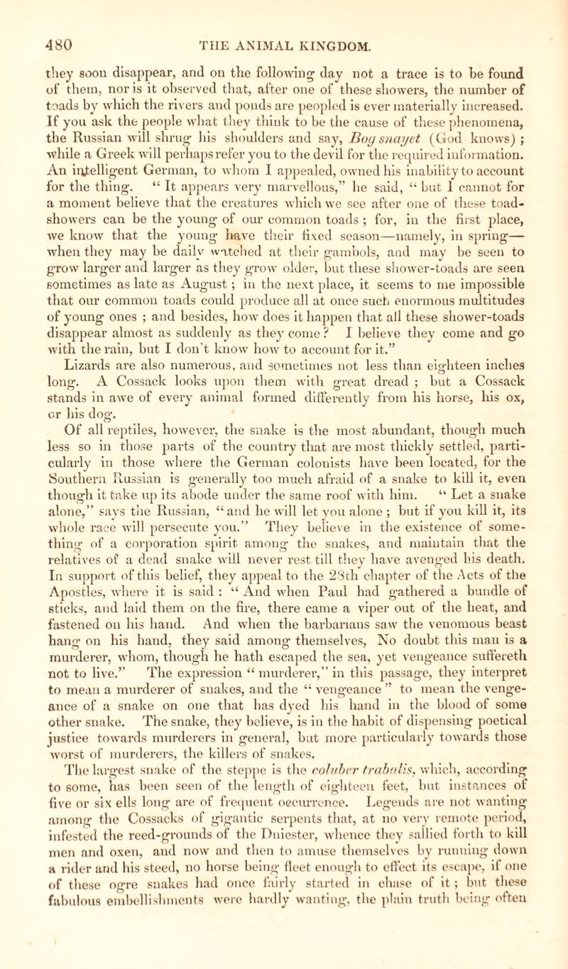 they soon disappear, and on the following; day not a trace is to be found of them, nor is it observed that, after one of these showers, the number of toads by which the rivers and ponds are peopled is ever materially increased. If you ask the people what they think to be the cause of these phenomena, the Russian will shrug his shoulders and say, Bog snayet (God knows) ; while a Greek will perhaps refer you to the devil for the required information. An intelligent German, to whom I appealed, owned his inability to account for the thing. “ It appears very marvellous,” he said, “ but 1 cannot for a moment believe that the creatures which we see after one of these toad- showers can be the young of our common toads ; for, in the first place, we know that the young have their fixed season—namely, in spring— when they may be daily watched at their gambols, and may be seen to grow larger and larger as they grow older, but these shower-toads are seen sometimes as late as August; in the next place, it seems to me impossible that our common toads could produce all at once such enormous multitudes of young ones ; and besides, how does it happen that all these shower-toads disappear almost as suddenly as they come ? I believe they come and go with the rain, but I don't know how to account for it.” Lizards are also numerous, and sometimes not less than eighteen inches long. A Cossack looks upon them with great dread ; but a Cossack stands in awe of every animal formed differently from his horse, his ox, or his dog. Of all reptiles, however, the snake is the most abundant, though much less so in those parts of the country that are most thickly settled, parti¬ cularly in those where the German colonists have been located, for the Southern Russian is generally too much afraid of a snake to kill it, even though it take up its abode under the same roof with him. “ Let a snake alone,” says the Russian, “and he will let you alone ; but if you kill it, its whole race will persecute you.” They believe in the existence of some¬ thing of a corporation spirit among- the snakes, and maintain that the relatives of a dead snake will never rest till they have avenged bis death. In support of this belief, they appeal to the 23th chapter of the Acts of the Apostles, where it is said : “ And when Paul had gathered a bundle of sticks, and laid them on the fire, there came a viper out of the heat, and fastened on his hand. And when the barbarians saw the venomous beast hang on his hand, they said among themselves, No doubt this man is a murderer, whom, though he hath escaped the sea, yet vengeance suffereth not to live.” The expression “ murderer,” in this passage, they interpret to mean a murderer of snakes, and the “ vengeance ” to mean the venge¬ ance of a snake on one that has dyed his hand in the blood of some other snake. The snake, they believe, is in the habit of dispensing poetical justice towards murderers in general, but more particularly towards those worst of murderers, the killers of snakes. The largest snake of the steppe is the coluber trabulis, which, according to some, has been seen of the length of eighteen feet, but instances of five or six ells long are of frequent occurrence. Legends are not wanting among the Cossacks of gigantic serpents that, at no very remote period, infested the reed-grounds of the Dniester, whence they sallied forth to kill men and oxen, and now and then to amuse themselves by running down a rider and his steed, no horse being fleet enough to effect its escape, if one of these ogre snakes had once fairly started in chase of it; but these fabulous embellishments were hardly wanting, the plain truth being often
