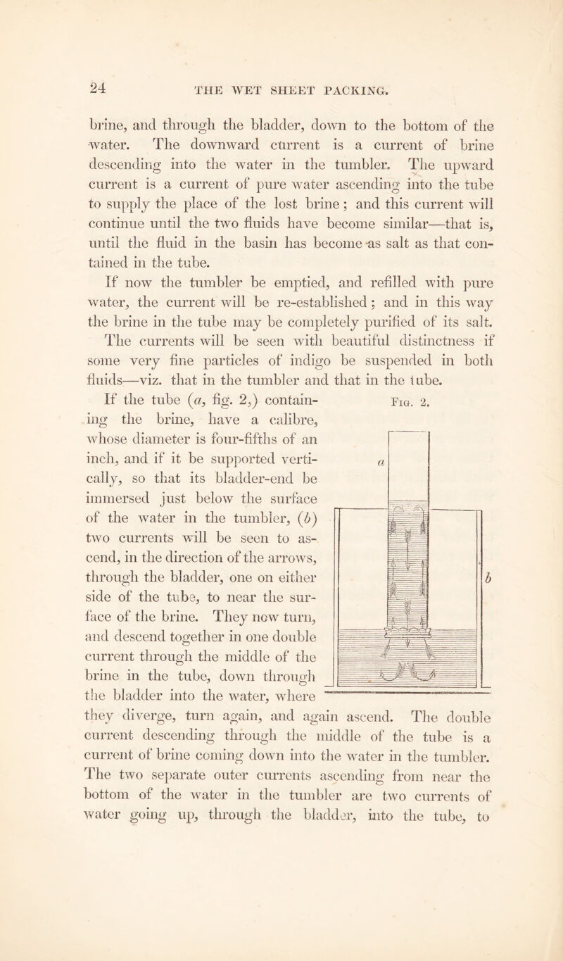 brine, and through the bladder, down to the bottom of the •water. The downward current is a current of brine descending into the water in the tumbler. The upward current is a current of pure water ascending into the tube to supply the place of the lost brine; and this current will continue until the two fluids have become similar—that is, until the fluid in the basin has become -as salt as that con- tained in the tube. If now the tumbler be emptied, and refilled with pure water, the current will be re-established ; and in this way the brine in the tube may be completely purified of its salt. The currents will be seen with beautiful distinctness if some very fine particles of indigo be suspended in both fluids—viz. that in the tumbler and that in the lube. If the tube (a, fig. 2,) contain- jtg. 2. ing the brine, have a calibre, whose diameter is four-fifths of an inch, and if it be supported verti- a cally, so that its bladder-end be immersed just below the surface of the water in the tumbler, (b) two currents will be seen to as- cend, in the direction of the arrows, through the bladder, one on either side of the tube, to near the sur- face of the brine. They now turn, and descend together in one double current through the middle of the brine in the tube, down through p O the bladder into the water, where they diverge, turn again, and again ascend. The double current descending through the middle of the tube is a current of brine coming down into the water in the tumbler. The two separate outer currents ascending from near the bottom of the water in the tumbler are two currents of water going up, through the bladder, into the tube, to