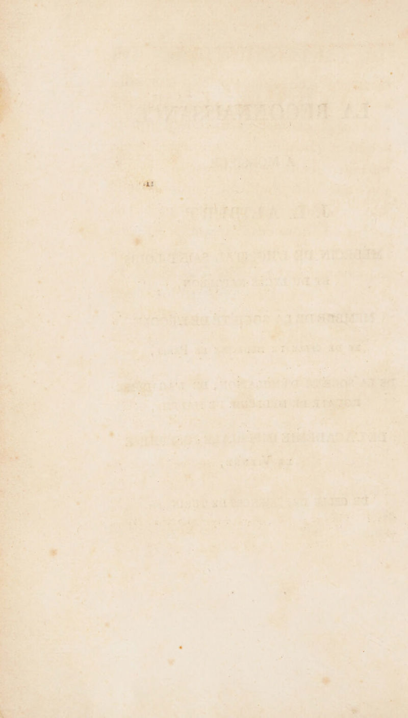 are EN fi die F | 2 ARTS HoMNeg LT RER à + : . d. 1 # Va, : à ee | . tr487 da DEP TE TN 4 Ah à: sd 15 S ù | 2 ré : 4 La de uPT F\ tie su #12 Wu me Pr È ,