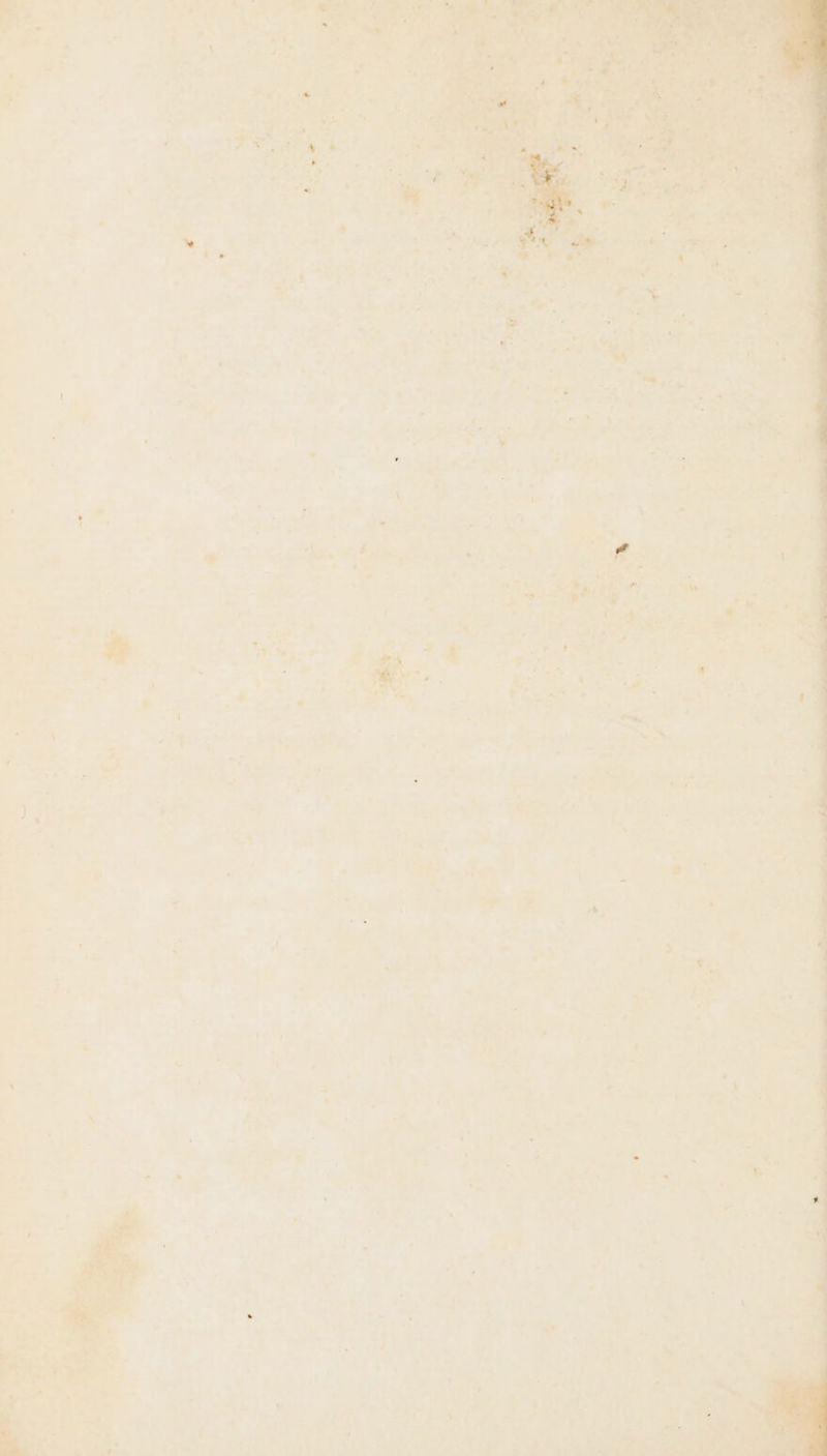 n . L] = ‘4 , . Q “ : : AL ” + ] { + . ’ \ s L { » RS À : Rs n  -# : 18 Le * ; | \ | . Der: 2 +
