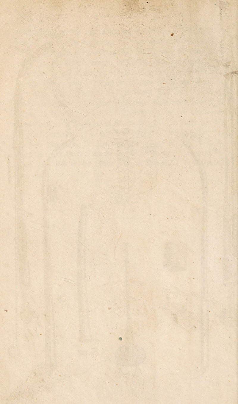 Fi> ^ :> ' , ' . 1 ■  .'s. N € \w : . ■ ■i J. 0 0 S-: * /