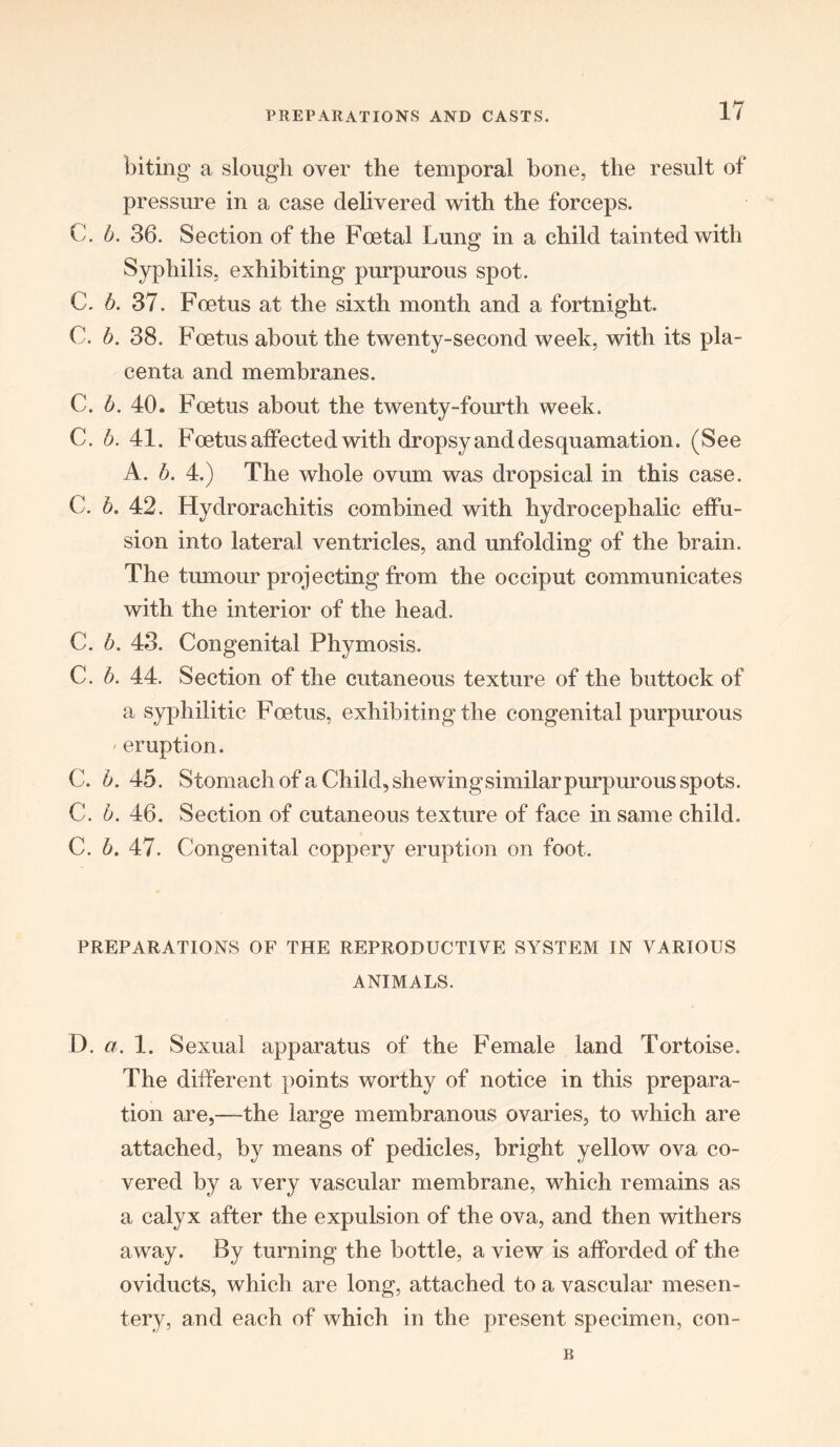 biting a slough over the temporal bone, the result of pressure in a case delivered with the forceps. C. b. 36. Section of the Foetal Lung in a child tainted with Syphilis, exhibiting purpurous spot. C. b. 37. Foetus at the sixth month and a fortnight. C. b. 38. Foetus about the twenty-second week, with its pla- centa and membranes. C. b. 40. Foetus about the twenty-fourth week. C. b. 41. Foetus affected with dropsy and desquamation. (See A. b. 4.) The whole ovum was dropsical in this case. C. b. 42. Hydrorachitis combined with hydrocephalic effu- sion into lateral ventricles, and unfolding of the brain. The tumour projecting from the occiput communicates with the interior of the head. C. b. 43. Congenital Phymosis. C. b. 44. Section of the cutaneous texture of the buttock of a syphilitic Foetus, exhibiting the congenital purpurous ' eruption. C. b. 45. Stomach of a Child, she wing similar purpurous spots. C. b. 46. Section of cutaneous texture of face in same child. C. b. 47. Congenital coppery eruption on foot. PREPARATIONS OF THE REPRODUCTIVE SYSTEM IN VARIOUS ANIMALS. D. a. 1. Sexual apparatus of the Female land Tortoise. The different points worthy of notice in this prepara- tion are,—the large membranous ovaries, to which are attached, by means of pedicles, bright yellow ova co- vered by a very vascular membrane, which remains as a calyx after the expulsion of the ova, and then withers away. By turning the bottle, a view is afforded of the oviducts, which are long, attached to a vascular mesen- tery, and each of which in the present specimen, con- B