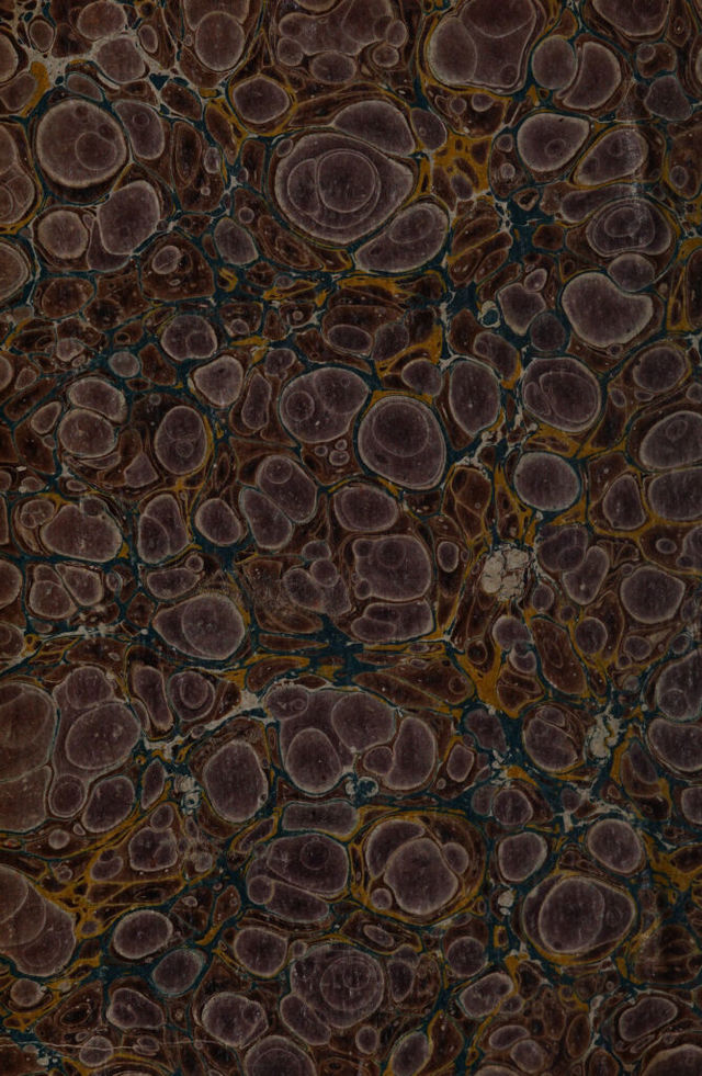digitised image 2