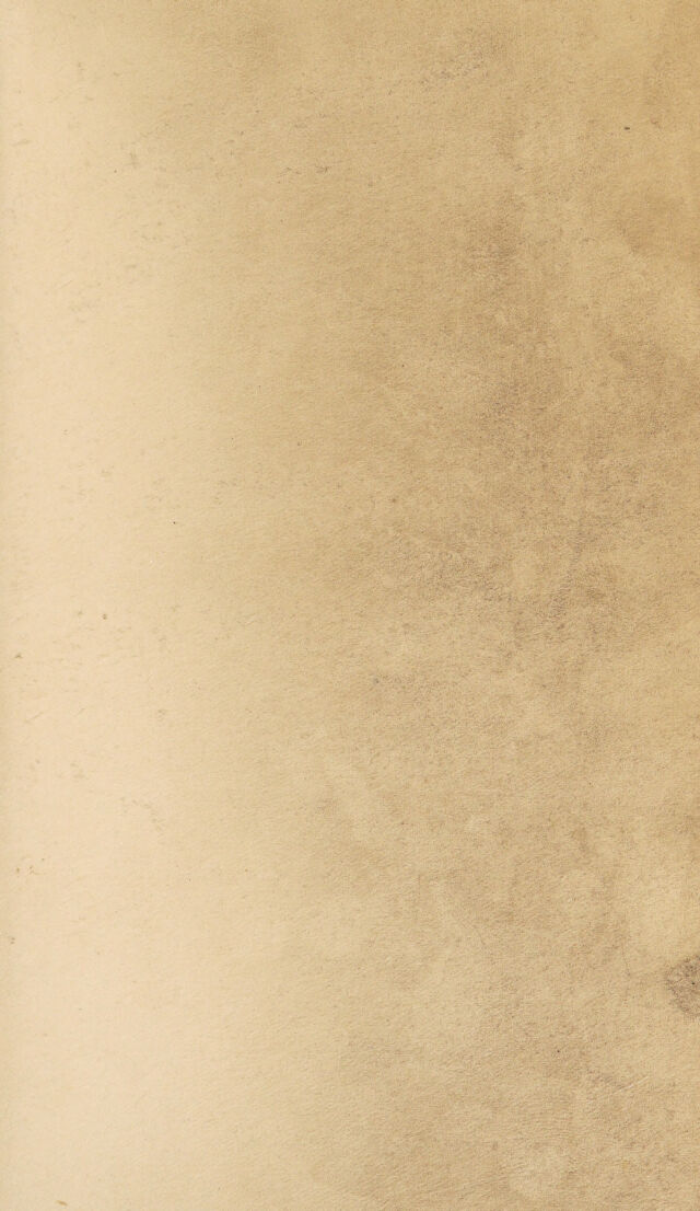 digitised image 3