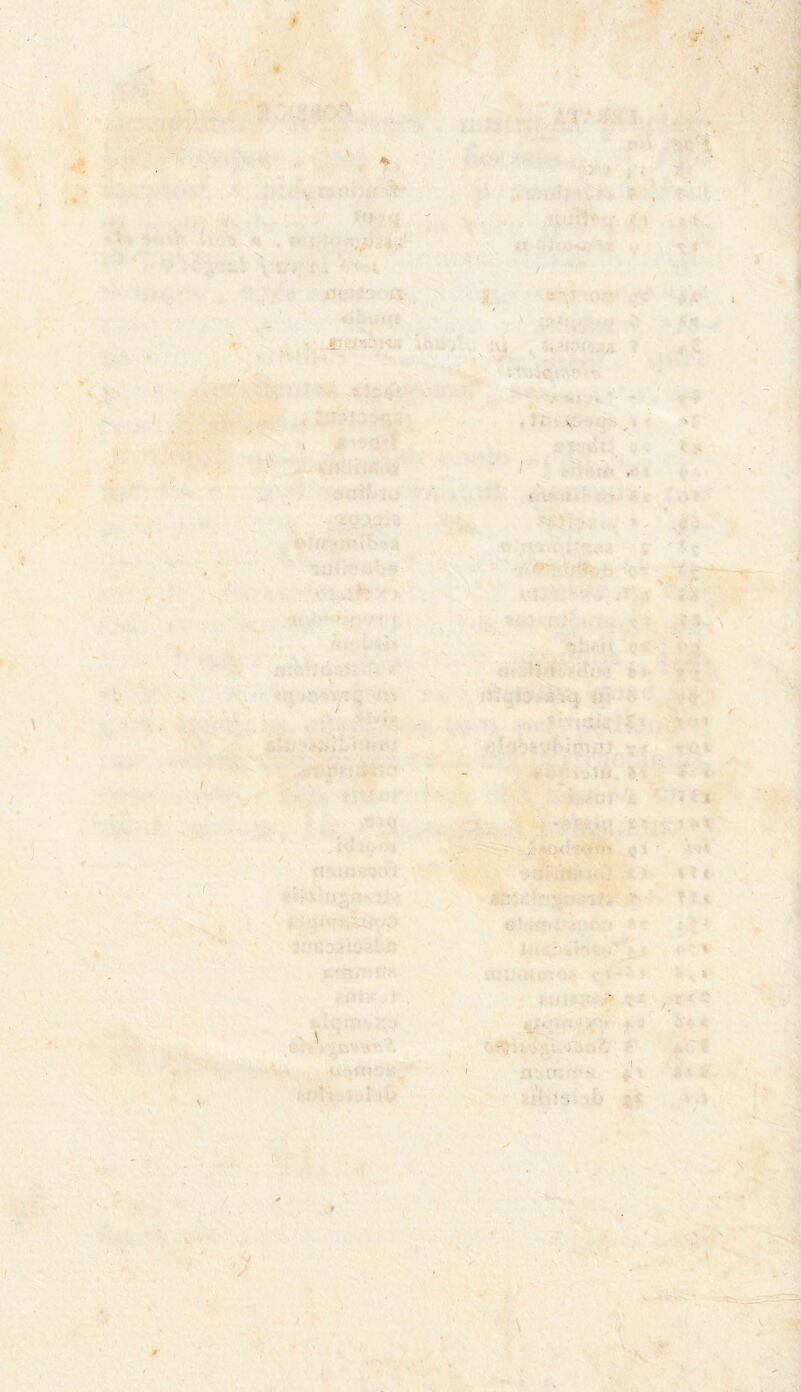 /- .:.r ' \ - ■ - , t Jf •i ’ , \ ' i ... ■ . . 4 ■ \