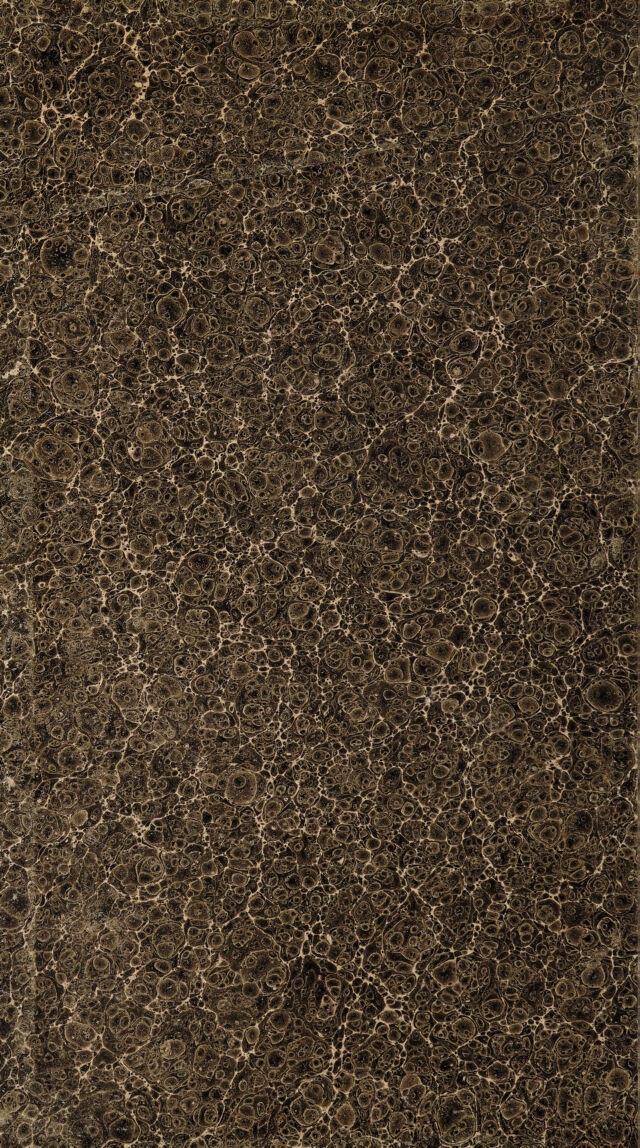 digitised image 2