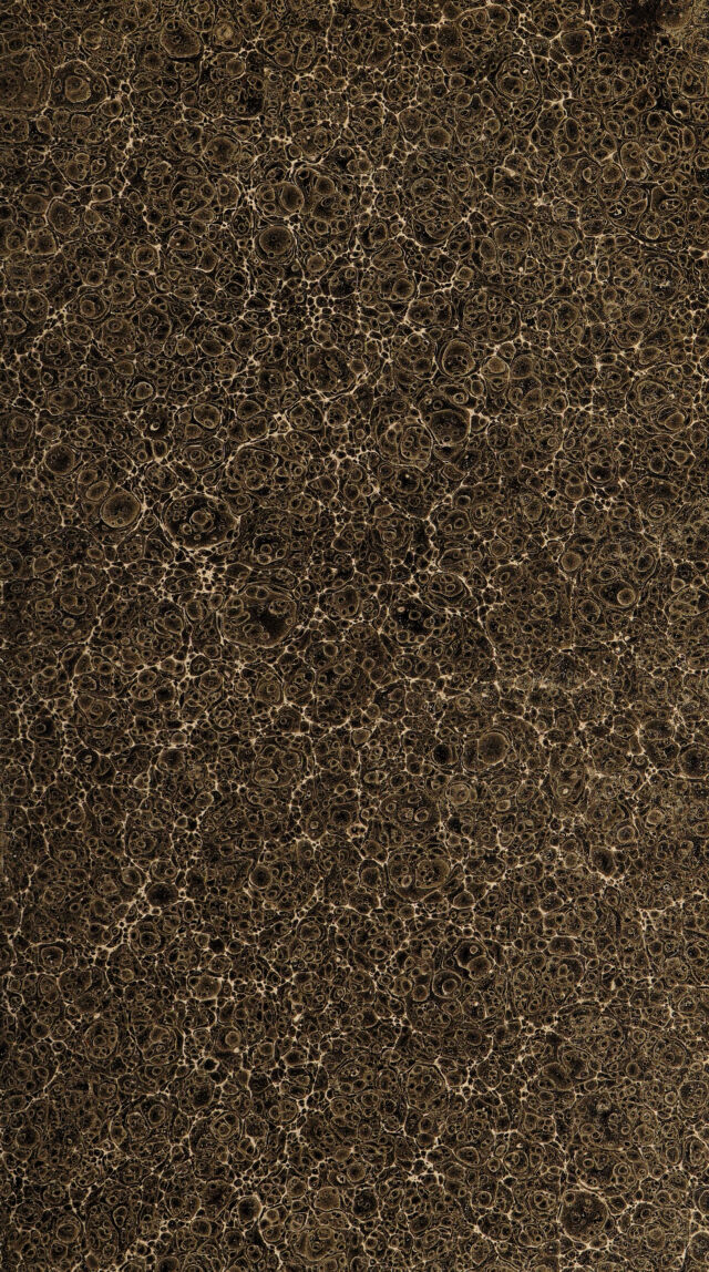 digitised image 3