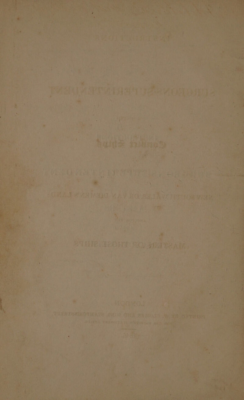 ee Nouri | Taaeremgt Ae ven ¢ nw wn e,t4 at ra ¥ ras A a Ss ewan as nid .