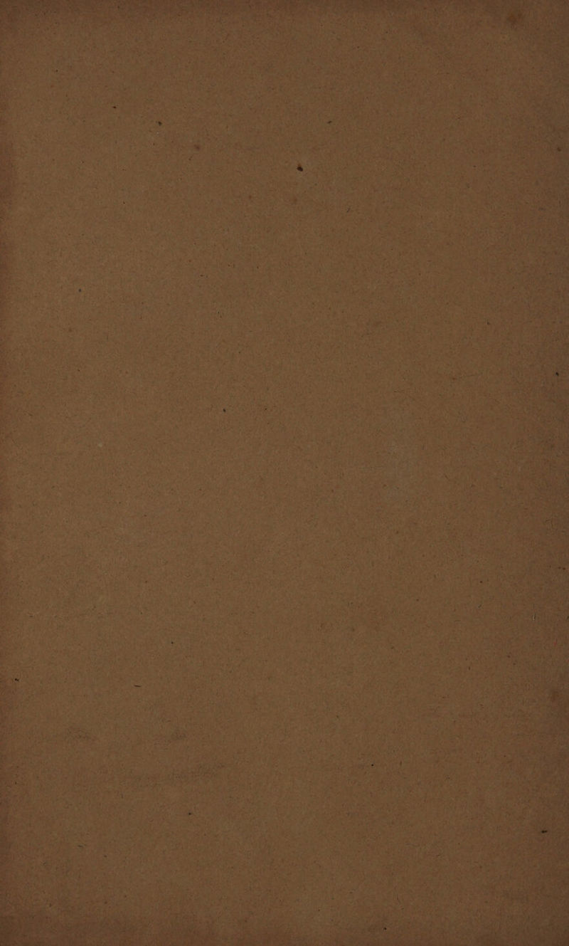 aie