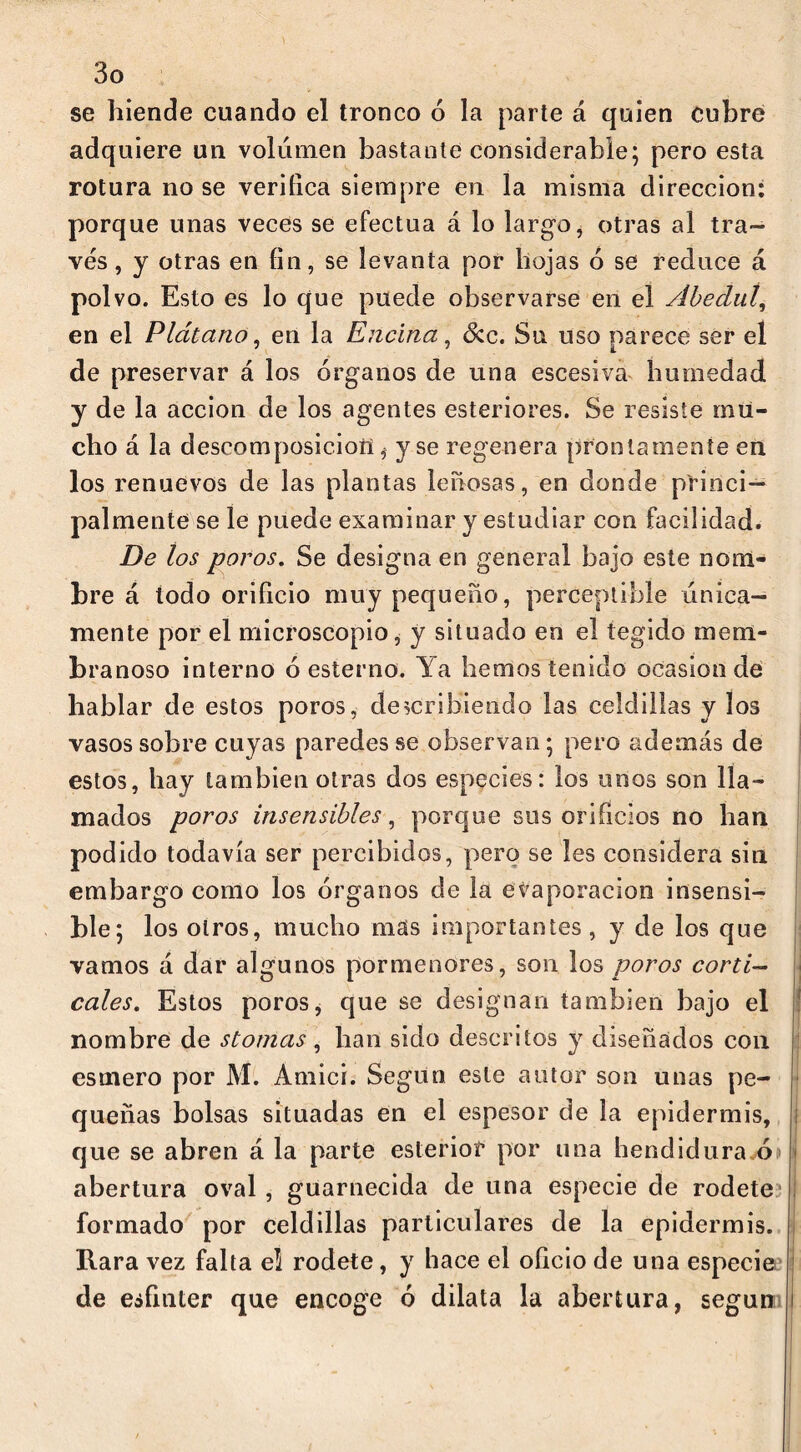 se hiende cuando el tronco ó la parte á quien cubre adquiere un volumen bastante considerable; pero esta rotura no se verifica siempre en la misma dirección: porque unas veces se efectúa á lo largo, otras al tra- vés , y otras en fin, se levanta por hojas ó se reduce á polvo. Esto es lo que puede observarse en el Abedul, en el Plátano, en la Encina, &c. Su uso parece ser el de preservar á los órganos de una escesiva humedad y de la acción de los agentes esteriores. Se resiste mu- cho á la descomposición * y se regenera prontamente en los renuevos de las plantas leñosas, en donde princi- palmente se le puede examinar y estudiar con facilidad. De los poros. Se designa en general bajo este nom- bre á lodo orificio muy pequeño, perceptible única- mente por el microscopio, y situado en el tegido mem- branoso interno ó estenio. Ya hemos tenido ocasión de hablar de estos poros, describiendo las celdillas y los vasos sobre cuyas paredes se observan; pero además de estos, hay también otras dos especies: los unos son lla- mados poros insensibles, porque sus orificios no han podido todavía ser percibidos, pero se les considera sin embargo como los órganos de la evaporación insensi- ble; los otros, mucho mas importantes, y de los que vamos á dar algunos pormenores, son los poros corti- cales. Estos poros, que se designan también bajo el nombre de stomas, han sido descritos y diseñados con esmero por M. Amici. Según este autor son unas pe- queñas bolsas situadas en el espesor de la epidermis, que se abren á la parte esterioí por una bend idura.ó abertura oval, guarnecida de una especie de rodete formado por celdillas particulares de la epidermis. Rara vez falta el rodete, y hace el oficio de una especie de esfínter que encoge ó dilata la abertura, según