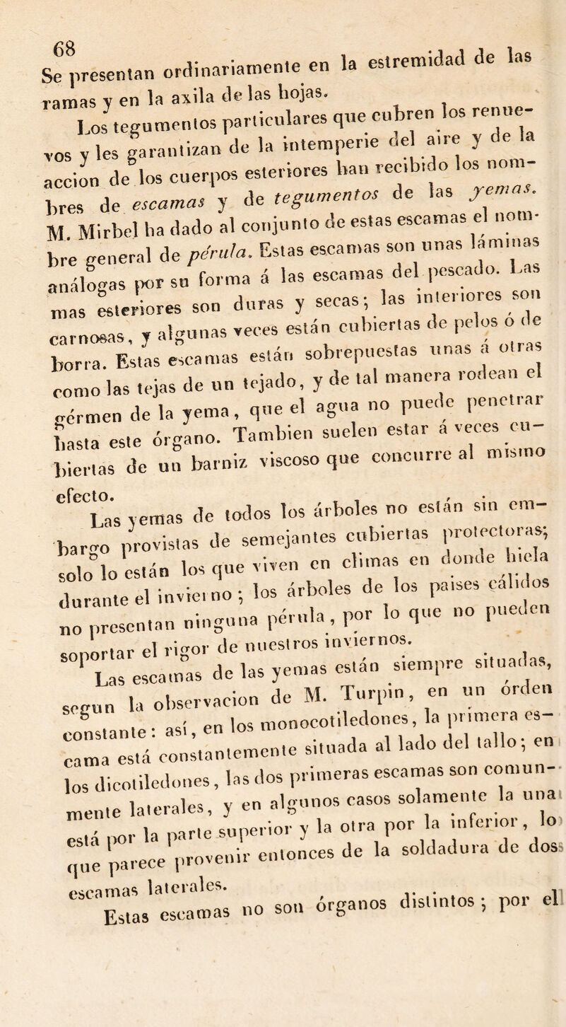 Se presentan ordinariamente en la eslremidad de las ramas y en la axila de las hojas. Los tegumentos particulares que cubren los renue- vos y les garantizan de la intemperie del ame 5 d acción de los cuerpos esteriores ban rectbtdoMot-nom- bres de escamas y de tegumentos de las yema.. M Mirbel ha dado al conjunto de estas escamas el nonv bre general d* férula. Estas escamas son unas lammas análogas por su forma á las escamas del pescado. Las Cl esteriores son duras y secas; las ínter,ores son carnosas, y algunas veces están cubiertas de pelos o de borra. Estas escamas están sobrepuestas unas a otra como las tejas de un tejado, y de tal manera rodean el mérmen de la yema, que el agua no puede pendía, basta este órgano. También suelen estar a veces cu- biertas de un barniz viscoso que concurre al mismo CfeCL°a's yemas de lodos los árboles no están s.n em- barco provistas de semejantes cubiertas protectoras; solelo están los que viven en climas en donde lítela durante el invierno; los árboles de los patses cal,dos no presentan ninguna pirula, por lo que no pueden «amortar el rigor de nuestros inviernos. ‘ Las escamas de las yemas están stempre ..toada., según la observación de M. Turp.n, en nn orden s , ,* ■ asi en los monoeotiledones, la primera es- rr^á'^tantemente situada al lado de, tallo; en los dicotiledones, las dos primeras escamas son comun- mente laterales, y en algunos casos solamente la una Tstá por la parte superior y la otra por la infer,or lo que parece provenir entonces de la soldadura de dos «cf»nnías laicises. , 1 Eslas escamas no son órganos distintos } por el