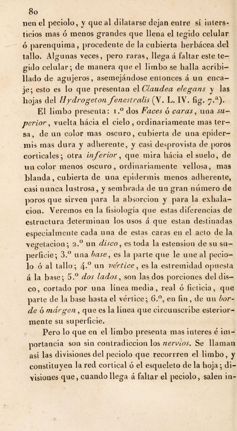 nen el peciolo, y que al dilatarse dejan entre sí inters- ticios mas ó menos grandes que llena el tegido celular ó parenquima, procedente de la cubierta herbácea del tallo. Algunas veces, pero raras, llega á faltar este te- gido celular; de manera que el limbo se halla acribi- llado de agujeros, asemejándose entonces á un enca- je; esto es lo que presentan el Claudea elegans y las hojas del líydrogeton fenestralis (V. L. IV. fig. 7.a). El limbo presenta: i.° dos Faces 6 caras, una su- perior , vuelta hácia el cielo, ordinariamente mas ter- sa, de un color mas oscuro, cubierta de una epider- mis mas dura y adherente, y casi desprovista de poros corticales; otra inferior, que mira hácia el suelo, de un color menos oscuro, ordinariamente vellosa, mas blanda , cubierta de una epidermis menos adherente, casi nunca lustrosa, y sembrada de un gran número de poros que sirven para la absorción y para la exhala- ción. Veremos en la fisiología que estas diferencias de estructura determinan los usos á que están destinadas especialmente cada una de estas caras en el acto de la vegetación; 2.0 un disco, es toda la estension de su su- O 7 perficie; 3.° una base, es la parle que le une al pecio- lo 6 al tallo; \.° un ve'rtice, es la estremidad opuesta á la base; 5.° dos lados, son las dos porciones del dis- co, cortado por una línea media, real ó ficticia, que parle de la base hasta el vértice; 6.°, en fin , de un bor- de ó margen , que es la línea que circunscribe esterior- mente su superficie. Pero lo que en el limbo presenta mas Ínteres é im- portancia son sin contradicción los nervios. Se llaman así las divisiones del peciolo que recorrren el limbo, y constituyen la red cortical ó el esqueleto de la hoja ; di- visiones que, cuando llega á faltar el peciolo, salen in-