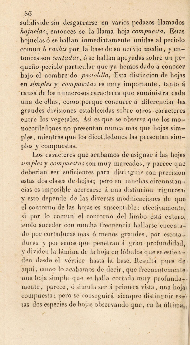 subdivide sin desgarrarse en varios pedazos llamados hojuelas♦ entonces se la llama hoja compuesta. Estas hojuelas ó se hallan inmediatamente unidas al peciolo común 6 rachis por la base de su nervio medio, y en- tonces son sentadas, ó se hallan apoyadas sobre un pe- queño peciolo particular que ya hemos dado á conocer bajo el nombre de pecioüllo. Esta distinción de hojas en simples y compuestas es muy importante , tanto á causa de los numerosos caracteres que suministra cada una de ellas, como porque concurre á diferenciar las grandes divisiones establecidas sobre otros caracteres entre los vegetales. Asi es que se observa que los mo— nocotiiedqnes no presentan nunca mas que hojas sim- ples, mientras que los dicotiledones las presentan sim- ples y compuestas. Los caracteres que acabamos de asignará las hojas simples y compuestas son muy mareados, y parece que deberían ser suficientes para distinguir con precision estas dos clases de hojas; pero en muchas circunstan- cias es imposible acercarse á una distinción rigurosa? y esto depende de las diversas modificaciones de que el contorno de las hojas es susceptible: efectivamente, si por lo común el contorno del limbo está entero, suele suceder con mucha frecuencia hallarse encenta- do por cortaduras mas ó menos grandes, por escota- duras y por senos que penetran á gran profundidad, y dividen la lámina de la hoja en lóbulos que se es!ten- den desde el vórtice hasta la base. Resulta pues de aquí, como lo acabamos de decir, que frecuentemente una hoja simple que se halla cortada muy profunda- mente, parece, ¿simula ser á primera vista, una hoja compuesta; pero se conseguirá siempre distinguir es- tas dos especies de hojas observando que, en la última.