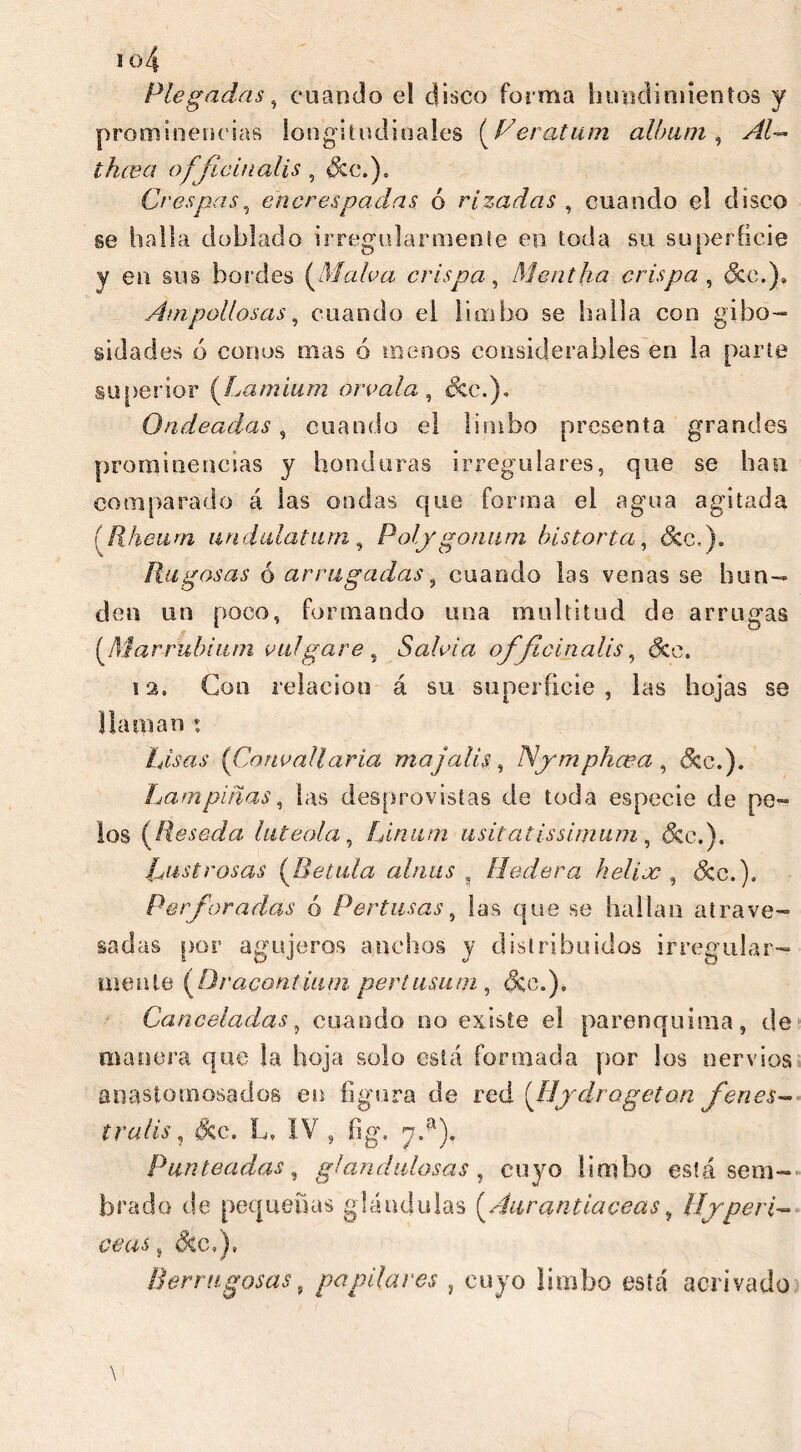 Plegadas, coando cd disco forma hundimientos y prominencias longitudinales (Peratum album, f officinalis , ¿ce.). Crespas, encrespadas ó rizadas , cuando el disco se halla doblado irregularmente en toda su superficie y en sus bordes (Malva crispa, Mentha crispa , &c.). Ampollosas, cuando el limbo se halla con gibo- sidades ó conos mas ó menos considerables en la parte superior (Lamium oréala , &c.). Ondeadas, cuando el limbo presenta grandes prominencias y honduras irregulares, que se han comparado á las ondas que forma el agua agitada [Rheum un dula turn , Polygonum historia, &c.). Rugosas ó arrugadas 9 cuando las venas se hun- den un poco, formando una multitud de arrugas (.Marruhium colgare s Salda officinalis, ¿ce. 12. Con relación á su superficie, las hojas se llaman : Lisas (Coneallaria majal is, Nym phcea , & c.). Lampiñas, las desprovistas de toda especie de pe- los (Reseda lateóla, Liman usitatissimum , ¿ce.). Lustrosas (Rétala alnas , Hederá helix , ¿ce.). Per foradas ó Pertusas, las que se hallan atrave- sadas por- agujeros anchos y distribuidos irregular- mente (Dracontium pertusiun , ¿ce.). Canceladas, cuando no existe el parenquima, de manera que la hoja solo está formada por los nervios anastomosados en figura de red (Hydrogetan fenes- trulis, ¿ce. L, IV, fig, y.a). Punteadas, glandulosas, cuyo limbo está sem- brado de pequeñas glándulas fdurantiaceas, Hyperi- ceas, ¿ce.), Berrugosas, papilares , cuyo limbo está acrivacio