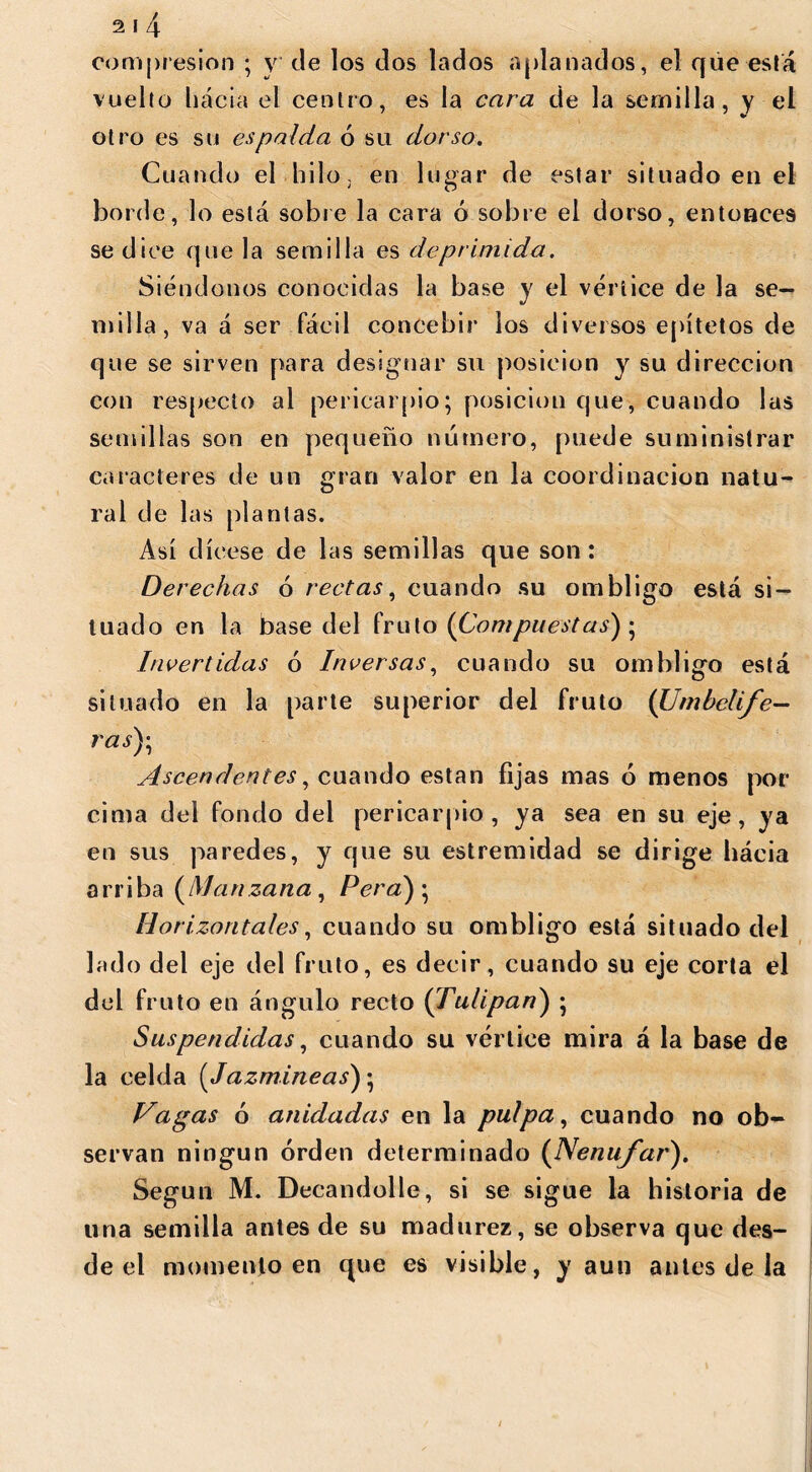 compresión ; y de los dos lados aplanados, el que está vuelto hacia el centro, es la cara de la semilla, y el otro es su espalda ó su dorso. Cuando el hilo, en limar de estar situado en el borde, lo está sobre la cara ó sobre el dorso, entonces se dice que la semilla es deprimida. Siéndonos conocidas la base y el vértice de la se- milla, va á ser fácil concebir los diversos epítetos de que se sirven para designar su posición y su dirección con respecto al pericarpio; posición que, cuando las semillas son en pequeño número, puede suministrar caracteres de un gran valor en la coordinación natu- ral de las plantas. Así dícese de las semillas que son : Derechas ó rectas, cuando su ombligo está si- tuado en la base del fruto {Compuestas') ; Invertidas ó Inversas, cuando su ombligo está situado en la parte superior del fruto (Umbelife- ras)\ Ascendentes, cuando están fijas mas ó menos por cima del fondo del pericarpio, ya sea en su eje, ya en sus paredes, y que su estremidad se dirige hácia arriba {Manzana , Pera) ; Horizontales, cuando su ombligo está situado del lado del eje del fruto, es decir, cuando su eje corta el del fruto en ángulo recto (Tulipán) ; Suspendidas, cuando su vértice mira á la base de la celda (Jazmíneas) • Vagas ó anidadas en la pulpa, cuando no ob- servan ningún orden determinado {Nenúfar). Según M. Deeandolle, si se sigue la historia de una semilla antes de su madurez, se observa que des- de el momento en que es visible, y aun antes de la