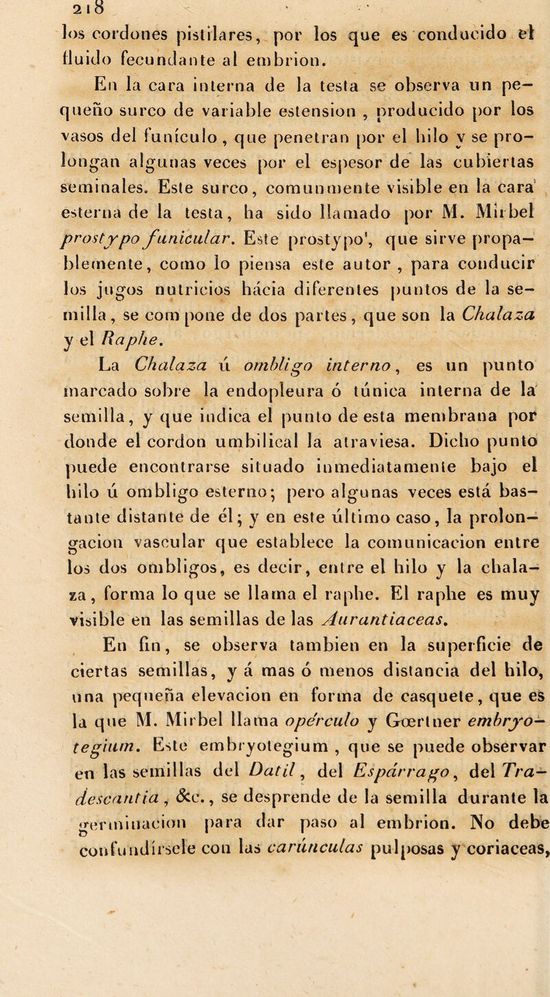 2 10 los cordones pistilares, por los que es conducido el fluido fecundante al embrión. En la cara interna de la testa se observa un pe- queño surco de variable estension , producido por los vasos del funículo, que penetran por el hilo y se pro- longan algunas veces por el espesor de las cubiertas seminales. Este surco, comunmente visible en la cara esterna de la testa, ha sido llamado por M. Mírbel prostypo funicular. Este prostypo', que sirve propa- hlemente, como lo piensa este autor, para conducir los jugos nutricios hácia diferentes puntos de la se- milla, se compone de dos partes, que son la Chalaza y el Raphe. La Chalaza ú ombligo interno, es un punto marcado sobre la endopleura ó túnica interna de la semilla, y que indica el punto de esta membrana por donde el cordon umbilical la atraviesa. Dicho punto puede encontrarse situado inmediatamente bajo el hilo ú ombligo estenio; pero algunas veces está bas- tante distante de él; y en este último caso, la prolon- gación vascular que establece la comunicación entre los dos ombligos, es decir, entre el hilo y la chala- za, forma lo que se llama el raphe. El raphe es muy visible en las semillas de las Aurantiaceas. En fin, se observa también en la superficie de ciertas semillas, y á mas 6 menos distancia del hilo, una pequeña elevación en forma de casquete, que es la que M. Mírbel llama opérenlo y Goerlner embryo— tegium. Este embryotegium , que se puede observar en las semillas del Dátil, del Espárrago, de\Tra- descantia i &e., se desprende de la semilla durante la germinación para dar paso al embrión. No debe confundírsele con las carúnculas pulposas y coriáceas,