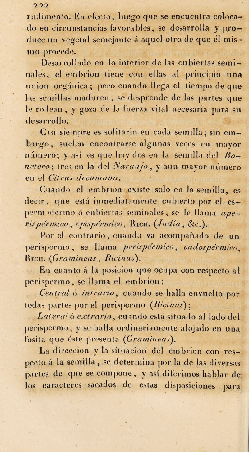 rudimento. En efecto, luego que se encuentra coloca- do en circunstancias favorables, se desarrolla y pro- duce un vegetal semejante á aquel otro de que él mis- mo procede. Desarrollado en lo interior de las cubiertas semi- nales, el embrión tiene con ellas al principio una union orgánica; pero cuando llega el tiempo de que lis semillas maduren, se desprende de las partes que le rodean , y goza de la fuerza vital necesaria para su desar rollo. Casi siempre es solitario en cada semilla; sin em- bargo, suelen encontrarse algunas veces en mayor número; y así es que hay dos en la semilla del Ro— netero* tres en la del Naranjo, y aun mayor número en el Citrus decani an a. Cuando el embrión existe soloen la semilla, es decir, que está inmediatamente cubierto por el es- permodermo ó cubiertas seminales, se le llama ape- rispérmico, epispérmico, Rich. (Judía , &c.). Por el contrario, cuan do va acompañado de un perispermo, se llama peris pérmico, endos pérmico. Rich. (Gramíneas , Ricinus). En cuanto á la posición que ocupa con respecto al perispermo, se llama el embrión: Central ó intrario, cuando se halla envuelto por todas partes por el perispermo (Ricinus); Latera1 ó extrario, cuando está situado al lado del perispermo, y se baila ordinariamente alojado en una fosita que éste presenta (Gramíneas). La dirección y la situación del embrión con res- pecto á la semilla , se determina por la de las diversas parles de que se compone, y así diferimos hablar de los caracteres sacados de estas disposiciones para