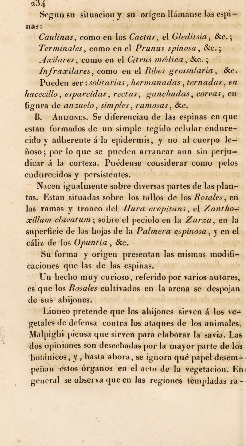 a34 Según su situación y su origen llámanse las espi- nas : Caullrias, como en los Cactus, el Gleclitsia , &c.; Terminales, como en el Prunus spinosa , &c.; Axilares, como en el Citrus médica, &c. ; Injr axilares, como en el grossularia , &c. Pueden ser : solitarias, hermanadas, temadas, hacecillo, esparcidas, rectas, ganchudas, corvas, en figura de anzuelo, simples, ramosas, Sec. B. Ahijones. Se diferencian de las espinas en que están formados de un simple tegido celular endure- cido y adlierente á la epidermis, y no al cuerpo le- ñoso; por lo que se pueden arrancar aun sin perju- dicar á la corteza. Puédense considerar como pelos endurecidos y persistentes. Nacen igualmente sobre diversas partes de las plan- tas. Están situadas sobre los tallos de los Rosales, en las ramas y tronco del Hura crepitans, el Zantho- xillum clavatum; sobre el peciolo en la Zarza, en la superficie de las hojas de la Palmera espinosa, y en el cáliz de los Opuntia , &c. Su forma y origen presentan las mismas modifi- caciones que las de las espinas. Un hecho muy curioso, referido por varios autores, es que los Rosales cultivados en la arena se despojan de sus ahijones. Linneo pretende que los ahijones sirven á los ve- getales de defensa contra los ataques de los animales. Malpighi piensa que sirven para elaborar la savia. Las dos opiniones son desechadas por la mayor parte de los botánicos, y , hasta ahora, se ignora qué papel desem- peñan estos órganos en el acto de la vegetación. En general se observa que en las regiones templadas ra -