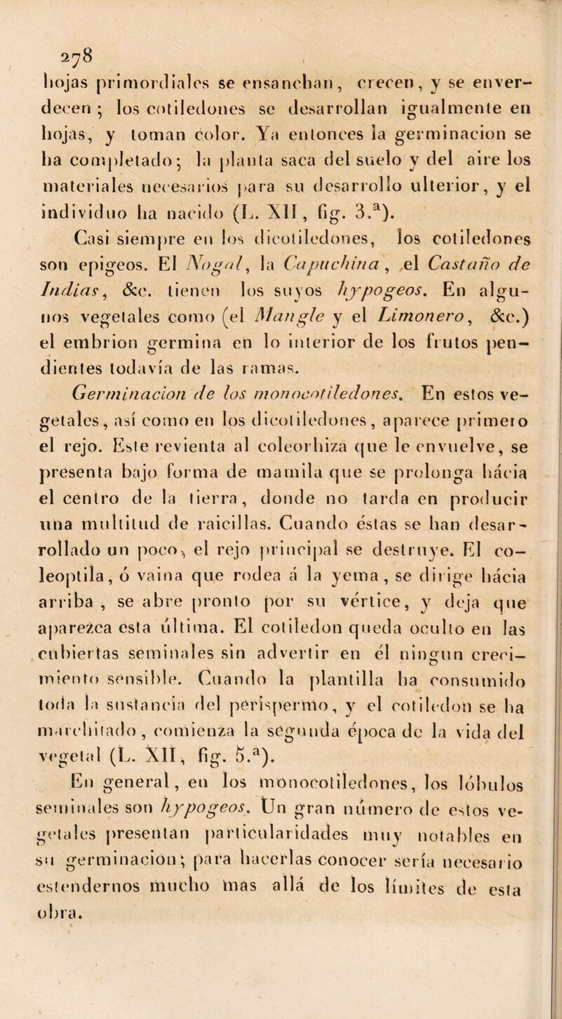 liojas primordiales se ensanchan, crecen, y se enver- decen ; los cotiledones se desarrollan igualmente en hojas, y toman color. Ya entonces la germinación se ha completado; la planta saca del suelo y del aire los materiales necesarios para su desarrollo ulterior, y el individuo ha nacido (L. Xll , fig. 3.a). Casi siempre en los d¡cotiledones, los cotiledones son epigeos. El Nogal, la Capuchina, el Castaño de Indias, &c. tienen los suyos hypogeos. En algu- nos vegetales como (el Mangle y el Limonero, &e.) el embrión germina en lo interior de los frutos pen- dientes todavía de las ramas. Germinación de los monocotiledones. En estos ve- getales, así como en los dicotiledones, aparece primero el rejo. Este revienta al coleorhiza que le envuelve, se presenta bajo forma de mamila que se prolonga hacia el centro de la tierra, donde no tarda en producir lina multitud de raicillas. Cuando éstas se han desar- rollado un poco-, el rejo principal se destruye. El co- leoptila, ó vaina que rodea á la yema , se dirige hacia arriba, se abre pronto por su vértice, y deja que aparezca esta ultima. El cotiledón queda oculto en las cubiertas seminales sin advertir en él ningún crecí- miento sensible. Cuando la plantilla ha consumido toda la sustancia del perispermo, y el cotiledón se ha marchitado, comienza la segunda época de la vida del vegetal (L. Xlí* fig. 5.a). En general, en los monocotiledones, los lóbulos seminales son hypogeos. Un gran numero de estos ve- getales presentan particularidades muy notables en su germinación\ para hacerlas conocer sería necesario eslendernos mucho mas allá de los límites de esta obra.