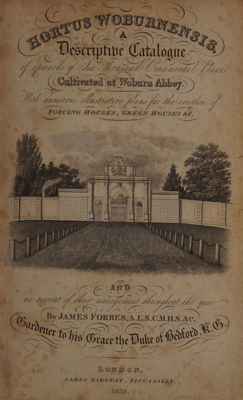 ae | Ser yp | ” Nh! wae oe = ee hye LD a\ ' 7 Sa eo. ef MPCUMMALY a7 WS fer , MB cretion y, “Forcive Ho USES, GREEN HOUSES &amp;E. Sol, 3874 = ror —a foes | Eh ie it La 3 \ Po eA CC RD | W/ Z Y WL ff (eas Mo iszoass dh fs vs We Year) ae te) AAI). Ah ‘Ke ce Se a Sees Cus ee LONDON, JAMES RIDGWAY, PICCA DILLY, 1833. sa Sah