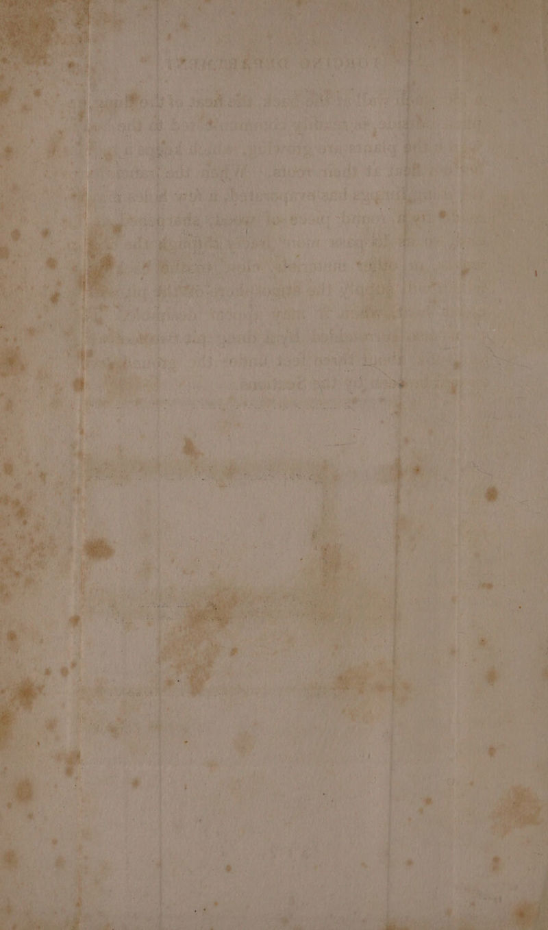 21a q vee ’ 7 Mal pt Bee | rs fe. an isd Rp “oz a ' ‘ VEE Ss 4 4 ? xi i i . rm eeay >) % ? gta Xe