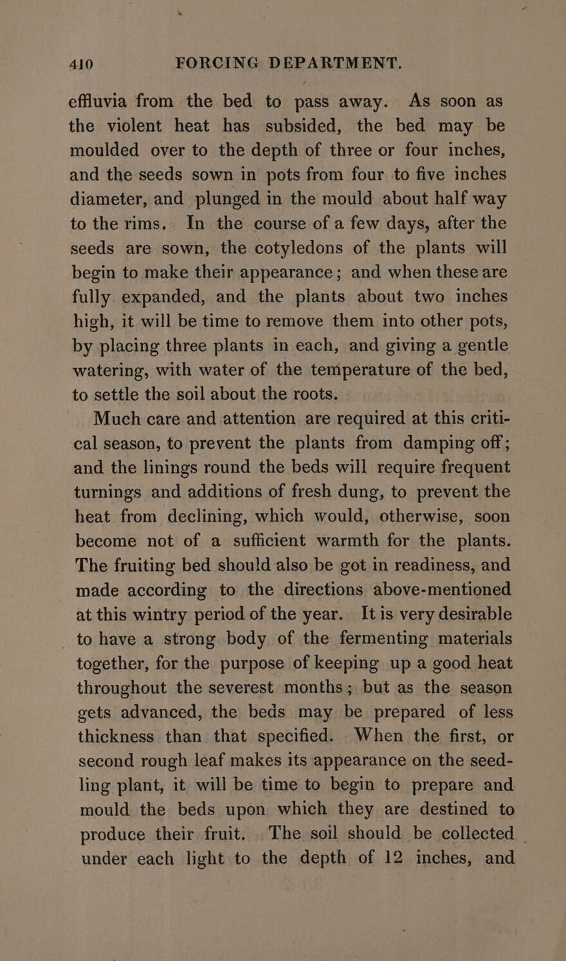 effluvia from the bed to pass away. As soon as the violent heat has subsided, the bed may be moulded over to the depth of three or four inches, and the seeds sown in pots from four to five inches diameter, and plunged in the mould about half way to the rims. In the course of a few days, after the seeds are sown, the cotyledons of the plants will begin to make their appearance ; and when these are fully. expanded, and the plants about two inches high, it will be time to remove them into other pots, by placing three plants in each, and giving a gentle watering, with water of the temperature of the bed, to settle the soil about the roots. Much care and attention are required at this criti- cal season, to prevent the plants from damping off; and the linings round the beds will require frequent turnings and additions of fresh dung, to prevent the heat from declining, which would, otherwise, soon © become not of a sufficient warmth for the plants. The fruiting bed should also be got in readiness, and made according to the directions above-mentioned at this wintry period of the year. It is very desirable to have a strong body of the fermenting materials together, for the purpose of keeping up a good heat throughout the severest months; but as the season gets advanced, the beds may be prepared of less thickness than that specified. When the first, or second rough leaf makes its appearance on the seed- ling plant, it will be time to begin to prepare and mould the beds upon which they are destined to produce their fruit. The soil should be collected | under each light to the depth of 12 inches, and