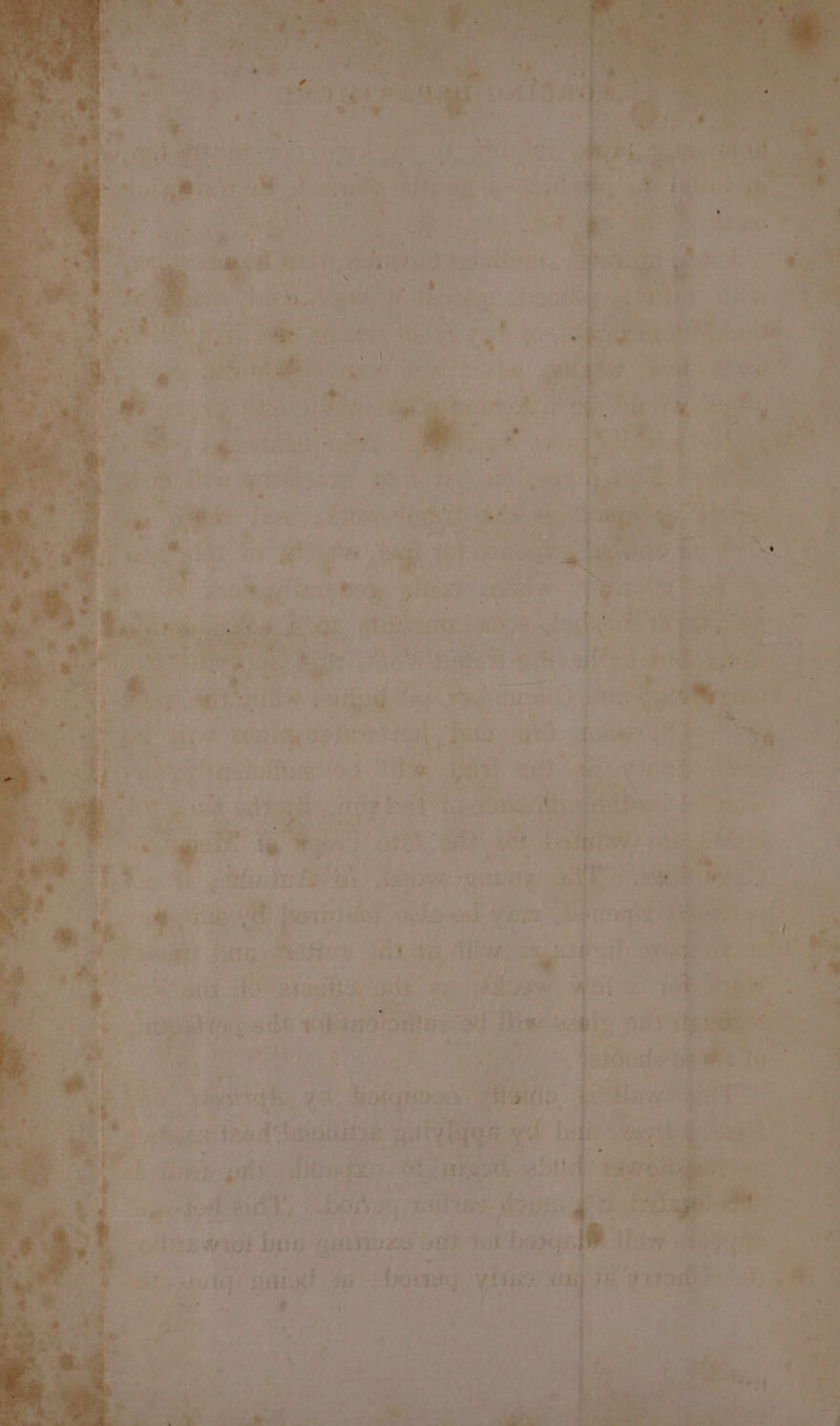 é Wg y | at f we DAS 8 Le iy y