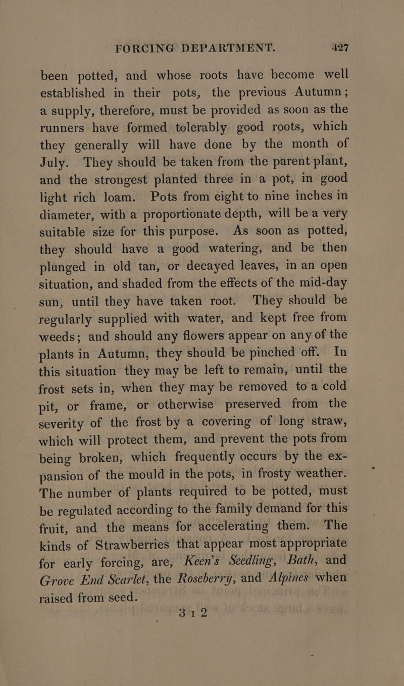 been potted, and whose roots have become well established in their pots, the previous Autumn; a supply, therefore, must be provided as soon as the runners have formed tolerably good roots, which they generally will have done by the month of July. They should be taken from the parent plant, and the strongest planted three in a pot, in good light rich loam. Pots from eight to nine inches in diameter, with a proportionate depth, will be a very suitable size for this purpose. As soon as potted, they should have a good watering, and be then plunged in old tan, or decayed leaves, in an open situation, and shaded from the effects of the mid-day sun, until they have taken root. They should be regularly supplied with water, and kept free from weeds; and should any flowers appear on any of the plants in Autumn, they should be pinched off. In this situation they may be left to remain, until the frost sets in, when they may be removed toa cold pit, or frame, or otherwise preserved from the severity of the frost by a covering of long straw, which will protect them, and prevent the pots from being broken, which frequently occurs by the ex- pansion of the mould in the pots, in frosty weather. The number of plants required to be potted, must be regulated according to the family demand for this fruit, and the means for accelerating them. The kinds of Strawberries that appear most appropriate for early forcing, are, Keen’s Seedling, Bath, and Grove End Scarlet, the Roseberry, and Alpines when — raised from seed. Hal 2