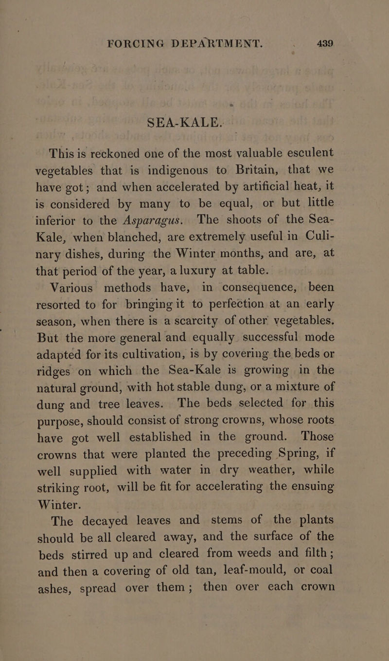 SEA-KALE. This is reckoned one of the most valuable esculent vegetables that is indigenous to Britain, that we have got; and when accelerated by artificial heat, it is considered by many to be equal, or but little inferior to the Asparagus. The shoots of the Sea- Kale, when blanched, are extremely useful in Culi- nary dishes, during the Winter months, and are, at that period of the year, a luxury at table. Various methods have, in consequence, been resorted to for bringing it to perfection at an early season, when there is a scarcity of other vegetables. But the more general and equally successful mode adapted for its cultivation, is by covering the beds or ridges on which the Sea-Kale is growing in the natural ground, with hot stable dung, or a mixture of dung and tree leaves. The beds selected for this purpose, should consist of strong crowns, whose roots have got well established in the ground. Those crowns that were planted the preceding Spring, if well supplied with water in dry weather, while striking root, will be fit for accelerating the ensuing Winter. The decayed leaves and stems of the plants should be all cleared away, and the surface of the beds stirred up and cleared from weeds and filth; and then a covering of old tan, leaf-mould, or coal ashes, spread over them; then over each crown