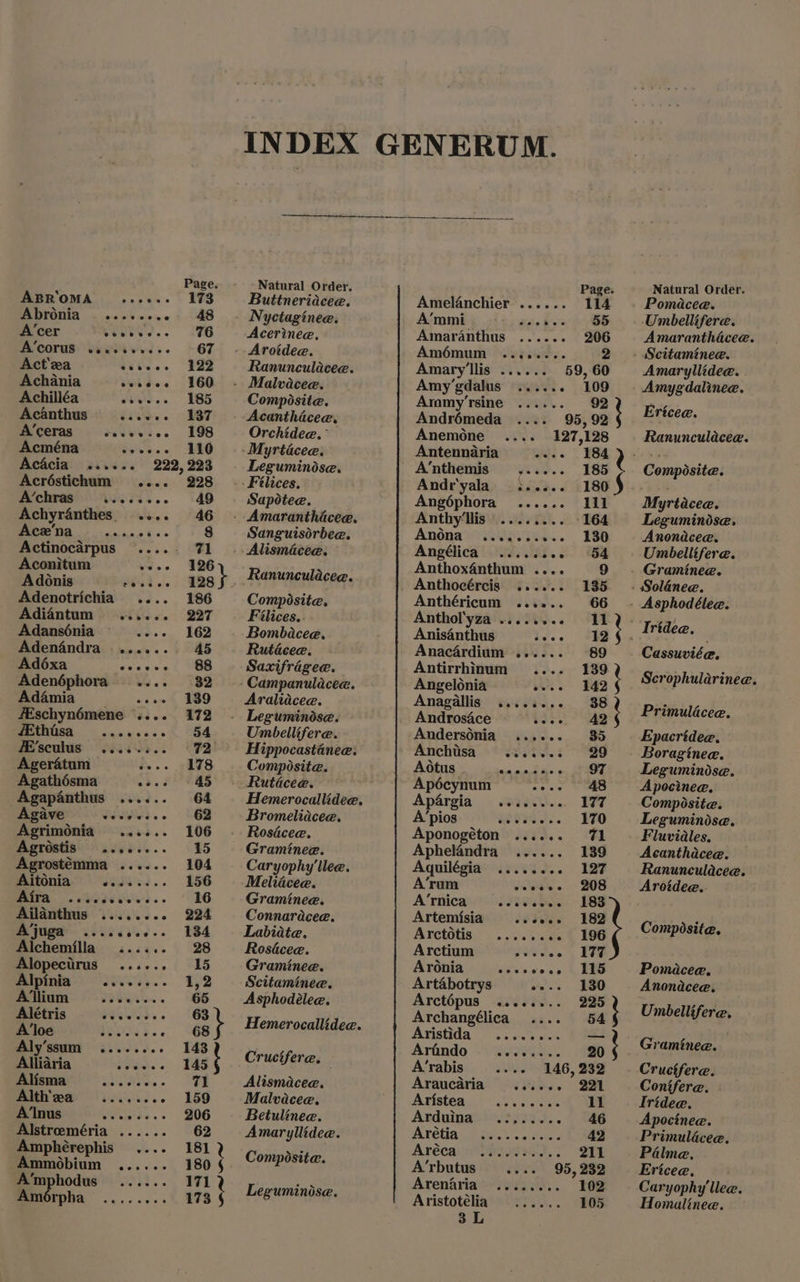 Page. ABROMA ...+..° 1%3 Abronia ......... 48 A’cer chee y.. 220 A'COFUS Ssisives.. -G67 Acta ast... wae Achania swidee 266 Achilléa Stic. 165 Acanthus eb... 267 A’ceras eeuews.. £98 Acména Tpete a S86 AcAcia eevvee 222, 223 Acréstichum .... 228 A’chras MWietsee. 40 Achyranthes. .... 46 Ace’na RO RR 8 Actinocarpus ....-. 71 Aconitum wees 326 Adonis ester, $28 Adenotrichia .... 186 Adiantum ...... 227 Adansonia ess. FER Adenandra ........ 45 Adéxa vaeave ( WS Adenéphora eeee 32 Adamia _..... 1389 fEschynémene .... 172 BEANOSH <cacgesse 54 fE'sculus osctse.. «(92 Agerétum fee. «A F8 Agathésma esee 45 Agapanthus ...... 64 Agave csovesse 62 Agrimonia ...... 106 Agrestia aieer... ES Agrostémma ...... 104 Aitonia SUN s.. 156 Pita, seBeaviwes.. “RO Ailanthus ........ 224 BjUee .iieisee.. 184 Alchemilla ...... 28 Alopectrus ...... 15 mine SUNG... | 12 Allium West... 866 Alétris Hives... 'S A’loe Mek.. “GS Aly’ssum ........ 143 Alliaria Pet.» Fae Alisma EE GM Alth'za tes ee EBD A’Inus tks. s 206 Alstroeeméria ..... - &amp;632 Amphérephis .... 181 Ammobium ...... 180 A’mphodus ...... 171 Amorpha ....... : 173 Natural Order. Buttneriacee. Nyctaginee. Acerinee. - Arotdee. Ranunculdecee. - Malvacee. Composite. Acanthiacee, Orchidee. -Myrticcea. Leguminise. . Félices, Sapotee. - Amaranthicee. Sanguisdrbea. _Alismacee. Ranunculacee. Composite. Filices..- Bombacee, Rutécea. Saxifragee. - Campanulacee. Araliacea. . Leguminose. Umbellifere. Hippocasténee. Composite. . Rutacee. Hemerocallidee. Bromeliacee. Rosdcee. Graminee. Caryophy'llee. Meliacee. Graminee. Connaracee. Labiate. Rosdcee. Graminee. Scitaminee. Asphodélee. Hemerocallidee. Alismacee. Malvacee. Betulinee. Amaryllidee. Composite. } Leguminise. Page Amelanchier ...... 114 A’mmi i eceovten 55 Amaranthus ...... 206 Amémum .....-. 2 Amary'llis ...... 59, 60 Amy’gdalus ...... 109 Arnmy’rsine ...... 92 t Andrémeda 95, 92 Anemone .... 127,128 Antennaria out). . ESA A’nthemis YOax 185 Andr'yala¢..... 180 § Angéphora ...... 111 Anthy'llis........ 164 Annona ossvavecs.. 130 Angélica. ........ ‘54 Anthox4nthum .... 9 _ Anthoeércis. ...... 135 Anthéricum ...... 66 Anthol'yza ........ 1 } Anisanthus uF 12 Anacardium ...... 89 Antirrhinum .... 139 t Angelonia bee =D Anagallis ........ 38 ; Androsace ite,” Se Andersénia ...... 85 . Anchisa @eoeece40e 29 Aotus evameok te in, SPUD. Apécynum cows ~=48 Apargia .eic..... 177 A’pios ivveeer. 170 Aponogéton ...... 71 Aphelandra ...... 139 Aquilégia ........ 127 A’rum severe 208 A’rnica coceseee 183 Artemisia cvewce 182 Arctotis recs Arctium guvves , ERG Aronia cvcccoss LIES Artabotrys ws... 330 Arct6pus ........ 225 ; Archangélica .... 54 Aristida eesee ees =< Arfndo Sette eee a A’rabis «vee 146, 232 Araucaria Pi. Sl Aristea pe br eters ll Arduina ..,.... - 46 Arétia Shes ok 4g Aréca: or isates). 211 A’rbutus.. 95, 232 Arenaria ........ 102 Aristotélia ...... 105 3L Natural Order. Pomacee. Umbellifere. Amaranthdécee. Amaryllidee. Amygdalinee. Ericee. Ranunculaceae. Composite. Myrtacee. Leguminosae. Anondceae. Umbellifere. Graminee. Cassuviée. Scrophularinee. Primuldécee. Epacridee. Boraginee. Leguminise. A pocinee. Composite. Leguminise. Fluvidles. Acanthacee. Ranunculaceae. Arotdea. Composite. Pomacee. Anondcee. Umbellifere. Graminee. Cructfere. Conifere. Iridee. Apocinee. Primulécee, Palme, Ericee, Caryophy'llee. Homalinee.