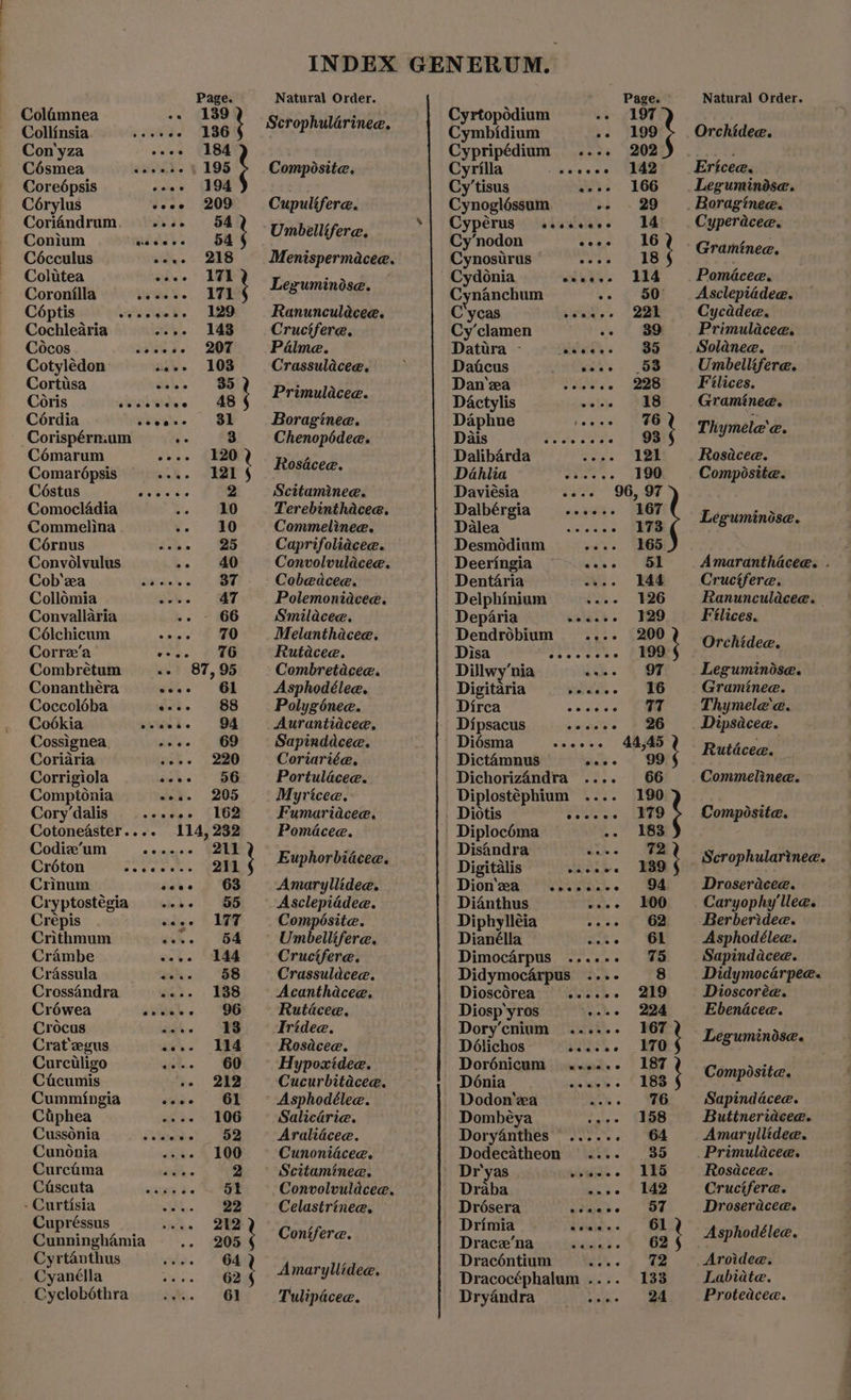 Colamnea -. 139 i Collinsia. =... eee - 136 Con'yza - 184 Césmea Wii eee. 195 Coreépsis coos (194 Cérylus sees gr Coriandrum. ayes aut Conium wsidd’s Cécculus stdiye ou Colutea eine 1¥8 i Coronilla RD by | Céptis Witeiguk. 12D Cochlearia ey ee Cocos teese 2O¥ Cotyléedon: sere 103 Cortisa os 35 ; Coris evoececee 48 Cérdia weeks RE -Corispérmum : 3 Cémarum ee. 120 Comarépsis eves L121 § Céstns ie Oe eis 2 Comocladia 10 Commelina 10 Cérnus a 25 Convolvulus 4 40 Cob‘za Hidie es) Se Collomia 47 Convallaria . 66 Célchicum aie 70 Corre’‘a- ve 76 Combrétum -- 87,95 Conanthéra Stee OE Coccoléba éa. - 88 Cookia ik. 8 8698e Cossignea. we 69 Coriaria s3. 230 Corrigiola aehe > SB Comptonia eoee 205 Corydalis soe 162 Cotoneaster.... 114, 232 Codiz’um coe Ge Créton ap ep AA ots Crinum ioae 3 SS Cr yptostéegia > 55 Crépis veee 177 Crithmum a 54 Crambe ie 144 Crassula a 58 Crossandra ve 138 Créwea ovch. “SS Crocus ee Crat'egus a. SS Curciligo --- 60 Cacumis i» | 232 Cummingia then OE Ciiphea .. 106 Cussonia ss nw ee ee 52 Cunonia 100 Curcama 2 Chscuata. .). vane bs 51 - Curtisia 22 Cupréssus 212 Cunninghamia 205 i Cyrtanthus 64 2 Cyanéila 62 § Cyclobéthra 61 Scrophulérinee, Composite. Cupulifere. Umbéellifere. Menispermacee. Leguminose. Ranunculdcee. Crucifere. Palme. Crassulacee. Primuldacee. Boraginee. Chenopédee. Rosacee. Scitaminee. Terebinthacee. Commelinee. Caprifoliacee. Convolvulacee. Cobedcee. Polemonidacee. Smilacee. Melanthacee. Rutacee. Combretacee. Asphodélea. Polygénee. Aurantiacee. Sapinddcee. Coriarié@. Portulacee. Myricee. Fumariacee. Pomacee. Euphorbidcee. Amaryllidee. Asclepiddee. Compésite. Umbelilifere. Crucifere. Crassuldcee. Acanthacee. Rutdcee. Tridee. Rosacee. Hypoxidee. Cucurbitacee. Asphodélee. Salicdrie. Aralidcee. Cunoniacee. Scitaminea. Convolvuldcee. Celastrinee. Contfere. Amaryllidee. Tulipacee. Cyrtopodium - 197 Cymbidium ~« 7199 Orchidee. Cypripédium .... 202 Bb Cyrilla wecee 142 Ericee, Cy’tisus «--- 166 Leguminise. Cynogléssum -- 29 | Boraginee. Cypérus ..seceee 14 Cyperacee. Cy’nodon eeoe 16 , : Cynosurus | vas VS ' Rratinats Cydonia eceee- 2114 . Pomacea, Cynanchum 50 Asclepiddee. C'ycas eae 221 Cycadea. Cy’clamen - 89 Primulacee. Datura ore tS 35 Solanee. Datcus ai. 6S Umbellifere. Dan'ea eee ee . 228 Filices. Dactylis 2. 2&8 Graminee. Dalibarda - “18k Rosacee. Dahlia «27°. 6: 190 Composite. Daviésia sees 96, 97 Dalen wil. are Eeeuminise. Desmodium . 565 Deeringia sans ote Amaranthacee. . Dentaria ee Cructfere. Delphinium - 126 Ranunculdcee. Deparia see eee - 29 Filices. Dendrobium ...- 200 - Disa Sesseces Ea } Orehidea. Dillwy‘nia 97 Leguminise. Digitaria ones 16 Graminee. Dirca eerie Thymele’@. Dipsacus —s ee eee - 26 Dipsacee. Diédsma seeese 44,45 ro Dictamnus dinle's ’99 ' Rutdcen. Dichorizandra .... 66 Commelinee. Diplostéphium 190 . Diotis vows se JASPO , Composite. - Diplocédma ..* tee Disandra Obs Si ~ Digitalis waliv. EBD } Scrophulartnec:. Dion'ea ......-- 94 Droseracee. Dianthus Soe e OD Caryophy'llee. Diphylléia a oie mee Berberidee. Dianélla ate OE Asphodélee. Dimocarpus ...... 75 Sapindacee. Didymocarpus ...- 8 Didymocarpee. Dioscdrea wwe = 219 Dioscorée. Diosp'yros ake | =2oe Ebendcee. Dory’cnium ...--. 167 : Délichos ia. Legumindse. Dorénicum «se... 187 , ~ of Donia .vsaqeuge : 183 Conpostigs Dodon‘ea ie Sapindacee. Dombeya - 158 Butineridacee. Doryanthes ..... - 64 Amaryllidee. Dodecatheon ...- 35 Primulacee. ' Dr'yas gas. } 188 Rosacea. - Draba abe © Ge Cruciferae. Drésera were | Oe Droseracee. Drimia aVelees OL Drace’na sa eee 62 Asphodélee, Dracéntium : > Aroidee. Dracocéphalum .... 133 Labiate. Dryandra ae Proteaceae.