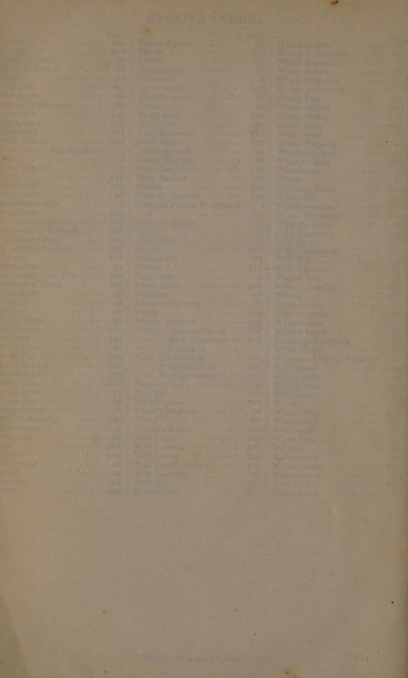 i arr ny wud, ve Riskes fy -ediriahh” P tami, sig ‘Baise oe ae | Mi ren” ftosbed, a: hy Sait Ly Bae t¥op REE Patt Pe Bi eee vg ‘PH i eA Ans oe , : } ry ahem a ‘ town le Set a deexitie ® / ; . iA 4 Peek hn bp esr sicohelt? Ee . sberlin ig ; ew 4,7 ee ay a! ne nie a ‘o Wiady'z Ft Walkewwnstet “oy hi b. * 9 > ¢ Veu-wee ? “Je , Best Ruan rant : ok Be 2 ee hrs inn RPh,