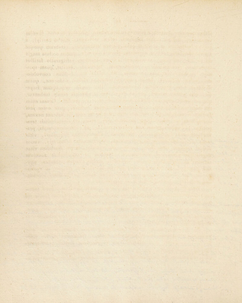 ' : , i 5 • i :■ •(/ v < • -i ' - • ' 'V ♦ r. ;;hi /•;••; ■ ’ / : * ■ ■ -mt- ■: ;l . . - '• • O • U ■ ?v> ,, • '■ ■ * ■ . - ■ •; ■. ■} ~j f' - f ' r(r^\ \ >'f t* •- \,j;V ->v - i p , !v i V . / ■ ■,