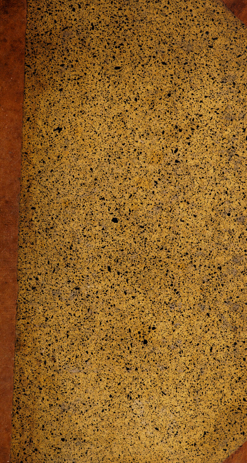 tö&'-TgLr *>4/ir ■ ?;• « '.-JUT'* •&X* K*K&US‘V '#: rvtfsk* ;;. ■a»* v.& :'V*i.