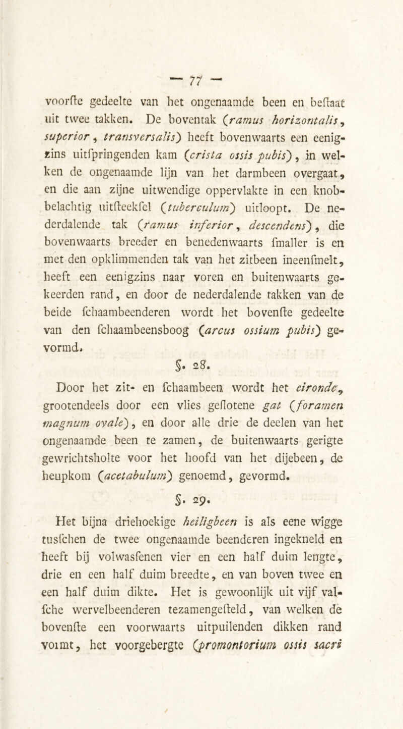 voorde gedeelte van het ongenaamde been en beftaat uit twee takken. De boventak (ramus horizontalis, superior, transvers alls') heeft bovenwaarts een eenig- zins uitfpringenden kam (crista ossis pubis), in wel- ken de ongenaamde lijn van het darmbeen overgaat, en die aan zijne uitwendige oppervlakte in een knob- belachtig uitdeekfcl (tuberculum) uitloopt. De ne- derdalende tak ('ramus inferior , descendens) , die bovenwaarts breeder en benedenwaarts fmaller is en met den opklimmenden tak van het zitbeen ineenfmelt, heeft een eenigzins naar voren en buitenwaarts ge- keerden rand, en door de nederdalende takken van de beide fchaambeenderen wordt het hovende gedeelte van den fchaambeensboog (arcus ossium pubis) ge- vormd* §• 28. Door het zit- en fchaambeen wordt het eironde, grootendeels door een vlies geflotene gat (foramen magnum ovale'), en door alle drie de deelen van het ongenaamde been te zamen, de buitenwaarts gerigte gewrichtsholte voor het hoofd van het dijebeen, do heupkom (acetabulum) genoemd, gevormd. §• 29« Het bijna driehoekige heiligbeen is als eene wigge tusfehen de twee ongenaamde beenderen ingekneld en heeft bij volwasfenen vier en een half duim lengte, drie en een half duim breedte, en van boven twee en een half duim dikte. Het is gewoonlijk uit vijf val- fche wervelbeenderen tezamengedeld, van welken de hovende een voorwaarts uitpuilenden dikken rand voimt, het voorgebergte (promontorium os sis sacri
