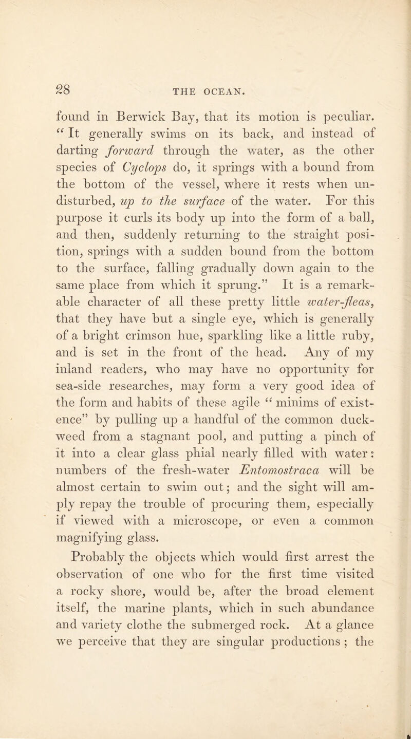 found in Berwick Bay, that its motion is peculiar. <( It generally swims on its back, and instead of darting forward through the water, as the other species of Cyclops do, it springs with a bound from the bottom of the vessel, where it rests when un- disturbed, up to the surface of the water. For this purpose it curls its body up into the form of a ball, and then, suddenly returning to the straight posi- tion, springs with a sudden bound from the bottom to the surface, falling gradually down again to the same place from which it sprung.” It is a remark- able character of all these pretty little water-fleas, that they have but a single eye, which is generally of a bright crimson hue, sparkling like a little ruby, and is set in the front of the head. Any of my inland readers, who may have no opportunity for sea-side researches, may form a very good idea of the form and habits of these agile “ minims of exist- ence” by pulling up a handful of the common duck- weed from a stagnant pool, and putting a pinch of it into a clear glass phial nearly filled with water: numbers of the fresh-water Entomostraca will be almost certain to swim out; and the sight will am- ply repay the trouble of procuring them, especially if viewed with a microscope, or even a common magnifying glass. Probably the objects which would first arrest the observation of one who for the first time visited a rocky shore, would be, after the broad element itself, the marine plants, which in such abundance and variety clothe the submerged rock. At a glance we perceive that they are singular productions ; the