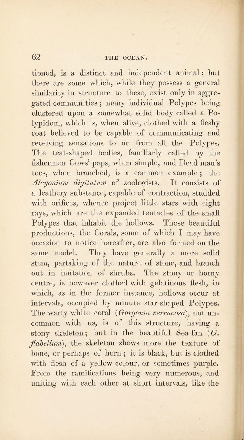 tioned, is a distinct and independent animal; but there are some which, while they possess a general similarity in structure to these, exist only in aggre- gated communities ; many individual Polypes being clustered upon a somewhat solid body called a Po- lypidom, which is, when alive, clothed with a fleshy coat believed to be capable of communicating and receiving sensations to or from all the Polypes. The teat-shaped bodies, familiarly called by the fishermen Cows’ paps, when simple, and Dead man’s toes, when branched, is a common example ; the Alcyonium digitatum of zoologists. It consists of a leathery substance, capable of contraction, studded with orifices, whence project little stars with eight rays, which are the expanded tentacles of the small Polypes that inhabit the hollows. Those beautiful productions, the Corals, some of which I may have occasion to notice hereafter, are also formed on the same model. They have generally a more solid stem, partaking of the nature of stone, and branch out in imitation of shrubs. The stony or horny centre, is however clothed with gelatinous flesh, in which, as in the former instance, hollows occur at intervals, occupied by minute star-shaped Polypes. The warty white coral (Gorgonia verrucosa), not un- common with us, is of this structure, having a stony skeleton; but in the beautiful Sea-fan (6r. flabellum), the skeleton shows more the texture of bone, or perhaps of horn ; it is black, but is clothed with flesh of a yellow colour, or sometimes purple. From the ramifications being very numerous, and uniting with each other at short intervals, like the