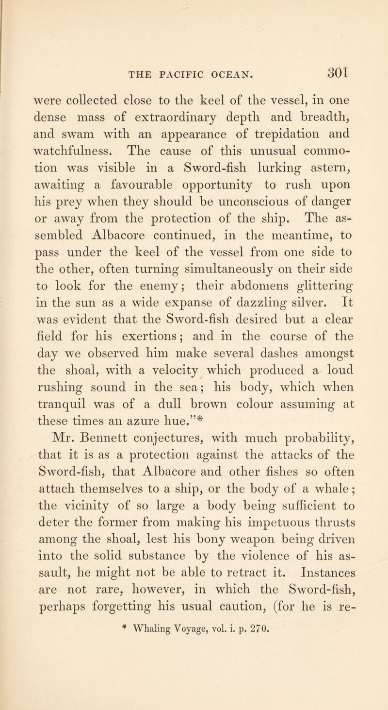 were collected close to the keel of the vessel, in one dense mass of extraordinary depth and breadth, and swam with an appearance of trepidation and watchfulness. The cause of this unusual commo- tion was visible in a Sword-fish lurking astern, awaiting a favourable opportunity to rush upon his prey when they should be unconscious of danger or away from the protection of the ship. The as- sembled Albacore continued, in the meantime, to pass under the keel of the vessel from one side to the other, often turning simultaneously on their side to look for the enemy; their abdomens glittering in the sun as a wide expanse of dazzling silver. It was evident that the Sword-fish desired but a clear field for his exertions; and in the course of the day we observed him make several dashes amongst the shoal, with a velocity which produced a loud rushing sound in the sea; his body, which when tranquil was of a dull brown colour assuming at these times an azure hue.”* Mr. Bennett conjectures, with much probability, that it is as a protection against the attacks of the Sword-fish, that Albacore and other fishes so often attach themselves to a ship, or the body of a whale; the vicinity of so large a body being sufficient to deter the former from making his impetuous thrusts among the shoal, lest his bony weapon being driven into the solid substance by the violence of his as- sault, he might not be able to retract it. Instances are not rare, however, in which the Sword-fish, perhaps forgetting his usual caution, (for he is re- * Whaling Voyage, vol. i. p. 270.