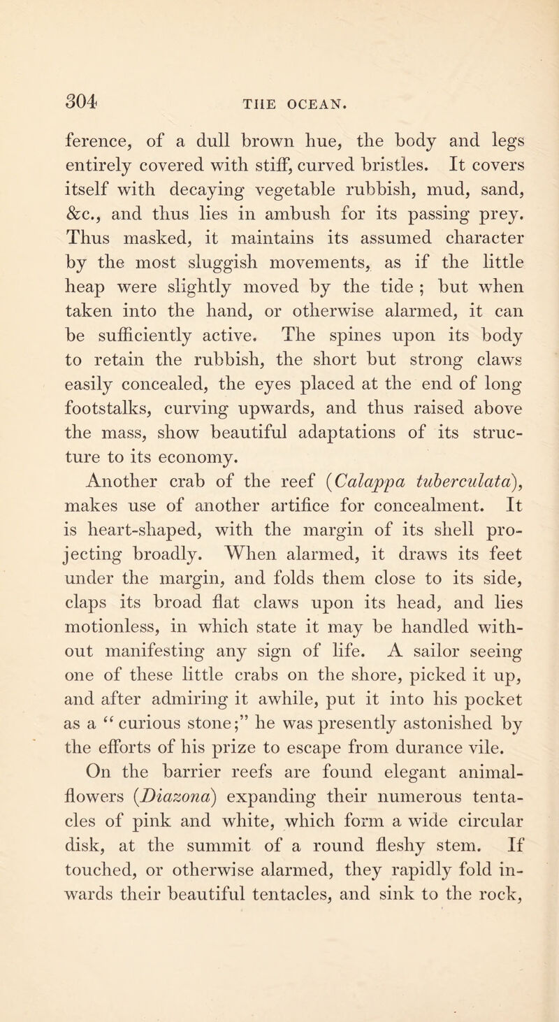 ference, of a dull brown hue, the body and legs entirely covered with stiff, curved bristles. It covers itself with decaying vegetable rubbish, mud, sand, &c., and thus lies in ambush for its passing prey. Thus masked, it maintains its assumed character by the most sluggish movements, as if the little heap were slightly moved by the tide ; but when taken into the hand, or otherwise alarmed, it can be sufficiently active. The spines upon its body to retain the rubbish, the short but strong claws easily concealed, the eyes placed at the end of long footstalks, curving upwards, and thus raised above the mass, show beautiful adaptations of its struc- ture to its economy. Another crab of the reef (Calappa tuberculata), makes use of another artifice for concealment. It is heart-shaped, with the margin of its shell pro- jecting broadly. When alarmed, it draws its feet under the margin, and folds them close to its side, claps its broad flat claws upon its head, and lies motionless, in which state it may be handled with- out manifesting any sign of life. A sailor seeing one of these little crabs on the shore, picked it up, and after admiring it awhile, put it into his pocket as a “ curious stone;” he was presently astonished by the efforts of his prize to escape from durance vile. On the barrier reefs are found elegant animal- flowers (Diazona) expanding their numerous tenta- cles of pink and white, which form a wide circular disk, at the summit of a round fleshy stem. If touched, or otherwise alarmed, they rapidly fold in- wards their beautiful tentacles, and sink to the rock,