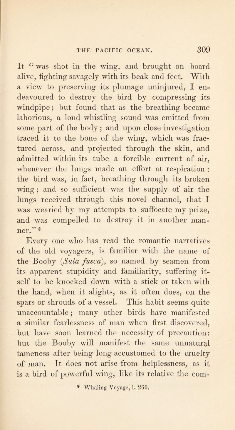 It “ was shot in the wing, and brought on board alive, fighting savagely with its beak and feet. With a view to preserving its plumage uninjured, I en- deavoured to destroy the bird by compressing its windpipe; but found that as the breathing became laborious, a loud whistling sound was emitted from some part of the body; and upon close investigation traced it to the bone of the wing, which was frac- tured across, and projected through the skin, and admitted within its tube a forcible current of air, whenever the lungs made an effort at respiration : the bird was, in fact, breathing through its broken wing ; and so sufficient was the supply of air the lungs received through this novel channel, that I w'as wearied by my attempts to suffocate my prize, and was compelled to destroy it in another man- ner.” * Every one who has read the romantic narratives of the old voyagers, is familiar with the name of the Booby (aSula fused), so named by seamen from its apparent stupidity and familiarity, suffering it- self to be knocked down with a stick or taken with the hand, when it alights, as it often does, on the spars or shrouds of a vessel. This habit seems quite unaccountable; many other birds have manifested a similar fearlessness of man when first discovered, but have soon learned the necessity of precaution: but the Booby will manifest the same unnatural tameness after being long accustomed to the cruelty of man. It does not arise from helplessness, as it is a bird of powerful wing, like its relative the com- * Whaling Voyage, i. 260.