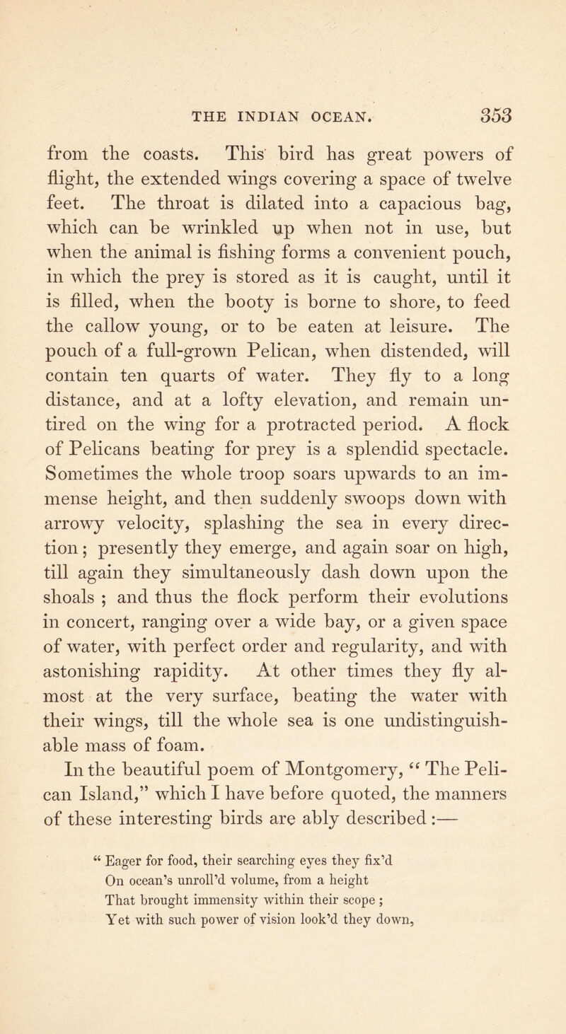 from the coasts. This bird has great powers of flight, the extended wings covering a space of twelve feet. The throat is dilated into a capacious hag, which can be wrinkled up when not in use, but when the animal is fishing forms a convenient pouch, in which the prey is stored as it is caught, until it is filled, when the booty is borne to shore, to feed the callow young, or to be eaten at leisure. The pouch of a full-grown Pelican, when distended, will contain ten quarts of water. They fly to a long distance, and at a lofty elevation, and remain un- tired on the wing for a protracted period. A flock of Pelicans beating for prey is a splendid spectacle. Sometimes the whole troop soars upwards to an im- mense height, and then suddenly swoops down with arrowy velocity, splashing the sea in every direc- tion ; presently they emerge, and again soar on high, till again they simultaneously dash down upon the shoals ; and thus the flock perform their evolutions in concert, ranging over a wide bay, or a given space of water, with perfect order and regularity, and with astonishing rapidity. At other times they fly al- most at the very surface, beating the water with their wings, till the whole sea is one undistinguish- able mass of foam. In the beautiful poem of Montgomery, ‘‘ The Peli- can Island,” which I have before quoted, the manners of these interesting birds are ably described :— “ Eager for food, their searching eyes they fix’d On ocean’s unroll’d volume, from a height That brought immensity within their scope ; Yet with such power of vision look’d they down,