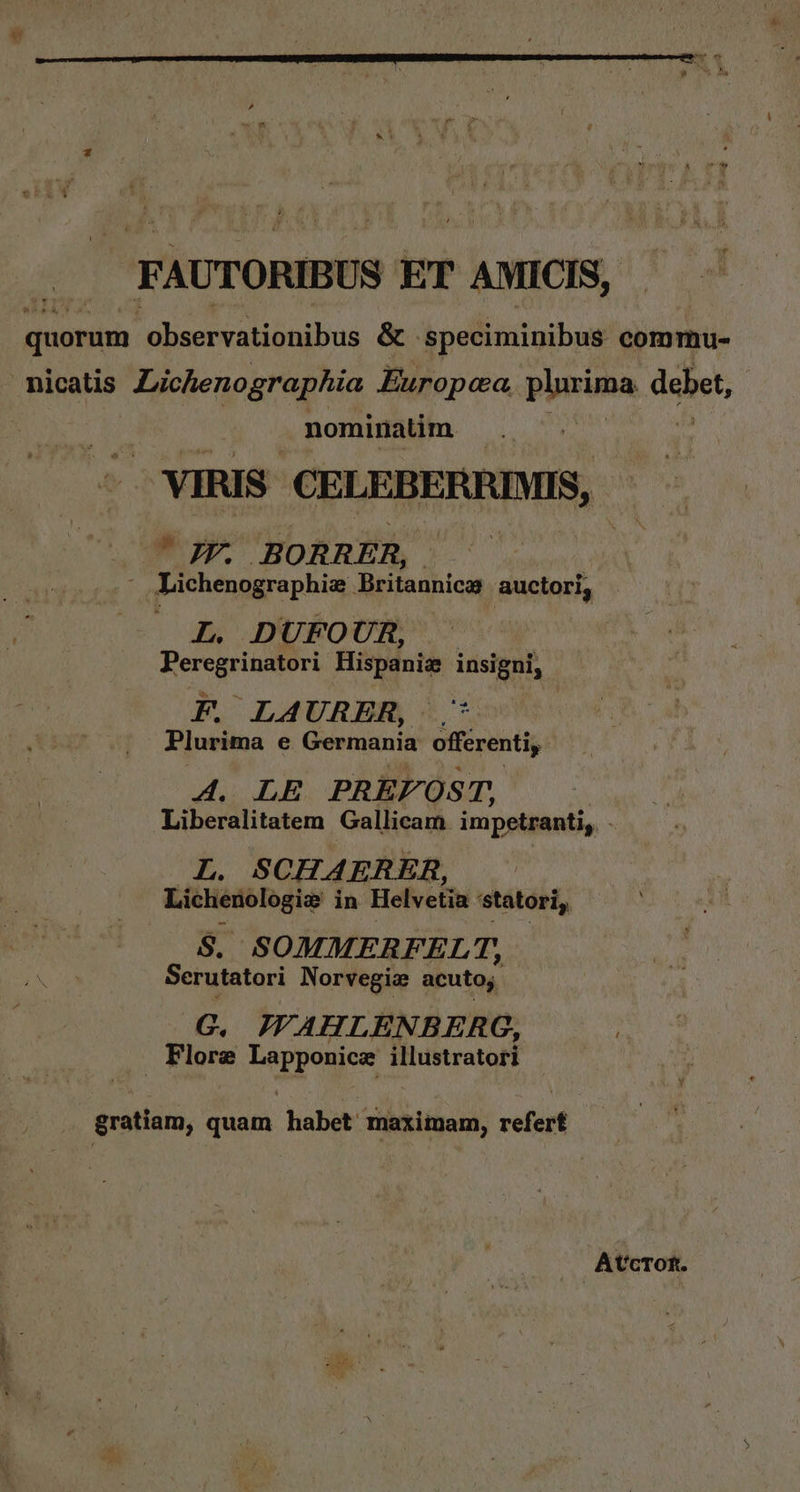 FAUTORIBUS ET AMICIS, quorum  observationibus &amp; .speciminibus commu- : nicatis Lichenographia Europca, plurima. debet, nominatim VIRIS CELEBERRIMIS, ^ EE. BORRER,  Lichenographie Britannica auctori, L. DUFOUR, Ree Riinp ios F. LAURER, | Plurima e Germania ONIS 4. LE PREF OS T Liberalitatem Gallicam impetranti, - L. SCHAERER, uet dua sf in Helvetia sstatori, $. SOMMERFELT, Serutatori Norvegia acuto G., IFVAHLENBERG, Flore Lapponice illustrator gratiam, quam habet maximam, refert At'cTOR.
