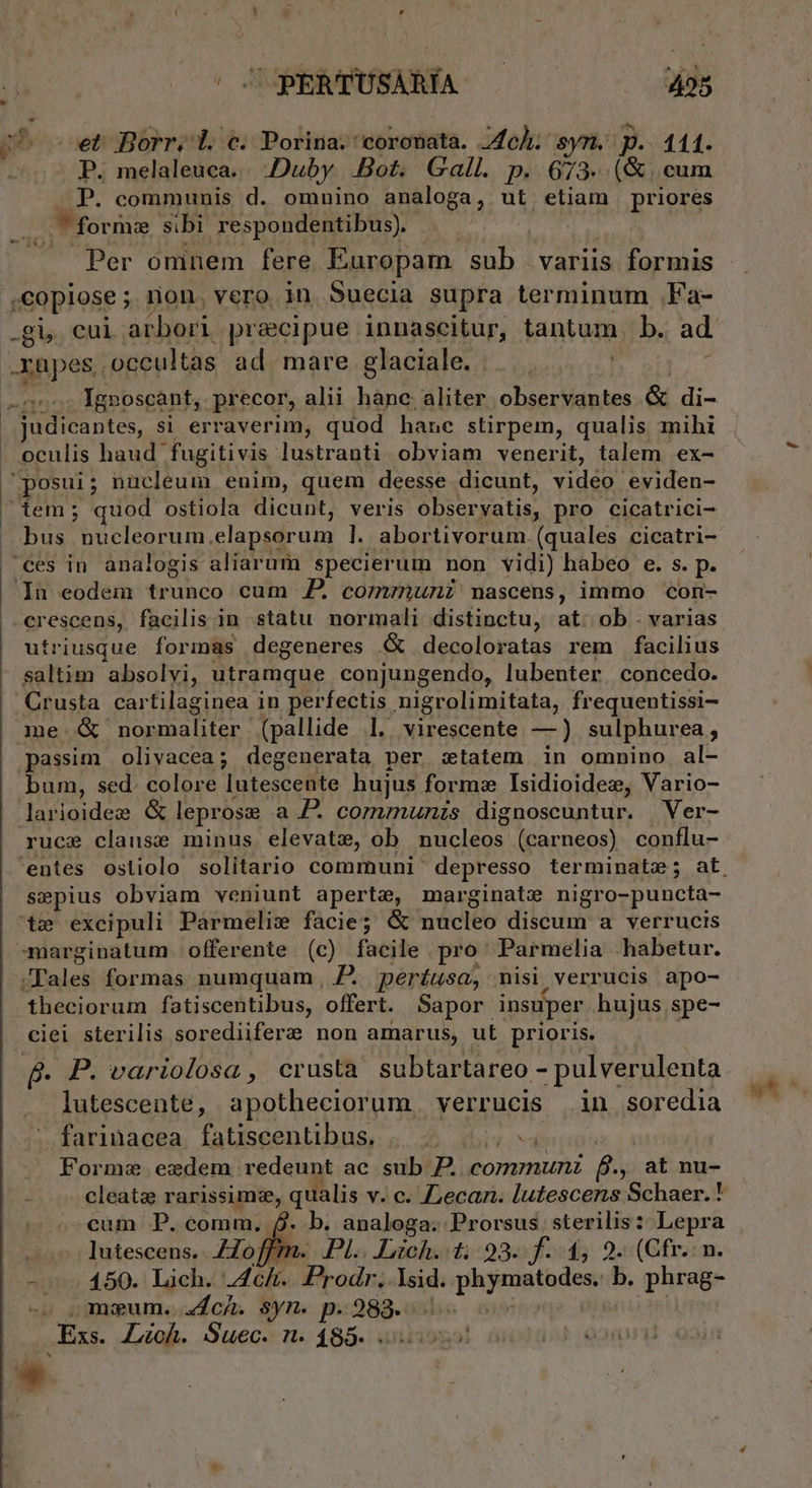 jp et Borr,l. e. Porina. coronata. Jc. syn. p p. 111. P. melaleuca. Duby. Bot. Gall. p. 673. (&amp; | cum P. communis d. omnino analoga, ut etiam priores : | forme sibi respondentibus). Per oninem fere Europam sub variis formis ,copiose ;. rion, vero in Suecia supra terminum .Fa- -gi. cui arbori. pracipue innascitur, tantum b. ad rüpes. occultas ad mare glaciale. . Ignoscant, precor, alii hanc aliter observantes .&amp; di- fudicantes, si erraverim, quod hanc stirpem, qualis mihi oculis haud | fugitivis lustranti. obviam venerit, talem ex- posui; nucleum enim, quem deesse dicunt, vidéo: eviden- /tem; quod ostiola dicunt, veris Obscryatis. pro cicatrici- —. bus nucleorum. elapsorum T4 abortivorum. (quales cicatri- ces in analogis aliarum specierum non vidi) babeo e. s. p- In eodem trunco cum Z. comnuni nascens, immo con- crescens, facilis in statu normali distinctu, at: ob . varias utriusque formas degeneres G&amp; decoloratas rem facilius saltim absolvi, utramque conjungendo, lubenter. concedo. Crusta cartilaginea in perfectis nigrolimitata, frequentissi- me. G&amp; normaliter (pallide l. virescente —) sulphurea, passim olivacea; degenerata per statem in omnino al- bum, sed. colore jutesceiito hujus forma Isidioidee, Vario- larioidec &amp; leprose a P. communis dignoscuntur. Ver- ruce clause minus. elevata, ob pea s (carneos) conflu- 'entes ostiolo solitario communi depresso terminate; at, sepius obviam veniunt aperte, marginate nigro- puneta- t» excipuli Parmelie facie; &amp; nüclto discum a verructs -marginatum offerente (c) facile pro Parmelia habetur. /Fales formas numquam , períusa, nisi verrucis apo- theciorum fatiscentibus, offert. Sapor insuper hujus spe- ciei sterilis sorediifere non amarus, ut prioris. px. variolosa , crusta subtartareo - - pulverulenta lutescente, apotheciorum verrucis in soredia farinacea fatiscentibus, |. . ns ' Forme eedem redeunt ac. sub D. communi p. at nu- cleatz rarissime, qualis v. c. Z,ecari. lutescens. Schaer. * cum P. comm. 6. b. analoga. Prorsus sterilis: Lepra lutescens.. .ZZof Fm. PL.. Lich. t. 93. Jf: 1, 9. (Cfr. n. - 450. Lich. y Wirodr; Isid. phymatodes, b. pipes -s »meum. «4c. syn. p.988... Exs. Léoh. Suec. n. 185. . *