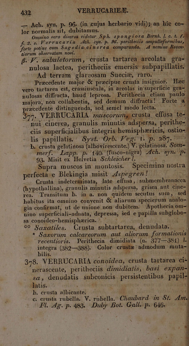 ^ s; E - j ^ : ^ — Ach. syn. p. 96. (in eujus herbario vidi); an hic co-- lor normalis sit, dubitamus. |— 5 5 Mri cuoi Omnino vero diversa videtur. Sp h. spongosa Bernh. Ll c. t. Z t9, s Ferrucariu ch. syn. p. 96. périthectis ampulleformibus, forte potius cum Sag edia, cinerea comparanda, 44 nemine. cens tiorum obsereatam mow. ^. Wr dd dien — 8. F. sabuletorum , €rüsta tartarea areolata gra- ] nulosa lactea, peritheciis emersis- subpapillatis. | Ad terrám glareosam SuecigB, raro. — ^ ^ Precedente major &amp; precipue crusta insignior. Hic | vero tartarea est, crassiuscula, in areolas in'superficie gra- | nulosas diffracta, haud leprosa. Perithecia etiam paulo : majora, non collabentia, sed demum diffracta! Forte a- recedente distinguenda, sed semel modo lecta. v 374. VERRUCARIA. rucscorurm, crusta, effüsa te-. nui cinerea, granulis minutis adspersa, perithe- ' ciis superficialibus intégris hemispharicis, ostio- lis papillatis.' Syst. Orb. Peg: t. Ed - i ry er oy ^ b. crusta gelatinosa (albovirescente.) V. gelatinosa. Sore - merf.' .Lupp. p. 140. (fusco-nigra) Ech. syn. ps. 93. Misit ex Helvetia ScAleizcher !. A Le Supra muscos in montosis. Specimina nostra perfeeta e Blekingia misit Zspegren! in . Grusta indeterminata, late effusa, submembranacca | (hypotballina), granulis minutis adspersa, grisea aut cine- rea. ransitum b. in a. non quidem secutus sum, sed. habitus ita omnino convenit &amp; aliarum specierum analo- gia confirmat, ut de unione non dubitem. Apothecia om- | nino superficiali-aduata, depressa, $ed e papilla subglobo- sa conoideo-hemisphzrica. | MO sz : * Saxatiles. Crusta subtartarea, denudata.. |; * Saxorum calcareorum aut aliorum, f ormattonis | recentioris. Perithecia dimidiata (n. 377—384) l. integra (389—388). Color cruste admodum muta- bilis. Nm m5 ! quels 378. VERRUCARIA cozoidea, crusta tartarea 'ci-| nerascente, peritheciis dimzdiatis, basi expan- sa, denudatis subconicis | persistentibus papil- latis. 86 eres rA b. crusta albicante. Iu | Aya] c. crusta rubella. V. rabella.' Chaubard. in St. 4m. JL... p. 483. .Duby. Bot. Gall. p. 646. o4 N