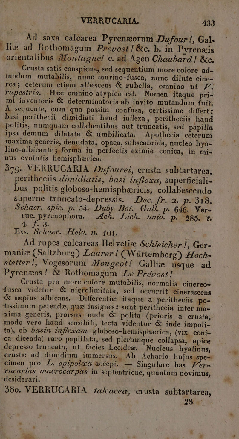 'VERRUCARIA. (0 000 488 ... Ad saxa calearea Pyreneorum Dufour !, Gal. |liw ad Rothomagum Prevost! &amp;c. b. in Pyrenzis ipie Montagne! c. ad Agen Chaubard ! &amp;c. rusta satis conspicua, sed sequentium more colore ad- modum mutabilis, nunc murino-fusca, nunc dilute cine- rea; ceterum etiam albescens &amp; rubella, omnino ut Z7; rupestris. Hec omnino atypica est. Nomen itaque pri- mi inventoris &amp; determinatoris ab invito mutandum fuit. ÁÀ sequente, cum qua passim confusa, certissime differt basi perithecii dimidiati haud inflexa, peritheciis haud politis, numquam collabentibus aut truncatis, sed pàpilla ipsa demum dilatata &amp; umbilicata. ^ Apothecia ceterum maxima generis, denudata, opaca, subscabrida, nucleo hya- lino-albicante; forma in perfectis eximie conica, in mi- nus evolutis hemispharica. 3579. VERRUCARIA .Dzfourei, crusta subtartarea, peritheciis dznidiatis, basi inflexa, superficiali-: . bus politis globoso-hemispharicis, collabescendo Superne trüncato-depressis. ec. fr. 3. p: 318. Schaer. spic. p. 54. Duby Bot. Gall. p. 646. Ver- ruc,. pyrenophora. | ZfcA. JLich. univ. p. 985. t. 4 f  ON Ó. à; Exs. Schaer. Helv. n. 404. 1 Ad rupes calcareas Helvetie ScA/eicher!, Ger- manie (Saltzburg) Laurer ! CWürtemberg) ZocA- stetler!, Vogesorum 7Mougeot! Gallize usque ad Pyreneos! &amp; Rothomagum Ze Prevost! Crusta pro more colore mutabilis, normalis. cinereo- fusca videtur nigrolimitata, sed occurrit cinerascens &amp; sepius albicans. Differentie itaque a. peritheciis po- tissimum petendi», quie insignes: sunt perithecia inter ma- xima generis, prorsus. nuda G&amp; polita (prioris a crusta, modo vero haud sensibili, tecta videntur &amp; inde impoli- ta), ob basin znflexam | globoso-hemisplicrica, (vix coni- ca dicenda) raro papillata, sed plerumque collapsa, apice depresso truncato, ut facies Lecidez. ^ Nucleus hyalinus, cruste ad dimidium immersus. Ab Achario hujus spe- cimen pro JL. epzpolea accepi. — Singulare has Z'er- rucarias macrocarpas in septentrione, quantum novimus, desiderari. | 380. VERRUCARIA 4/a/cacea, crusta subtartarea, Vi. UE ie