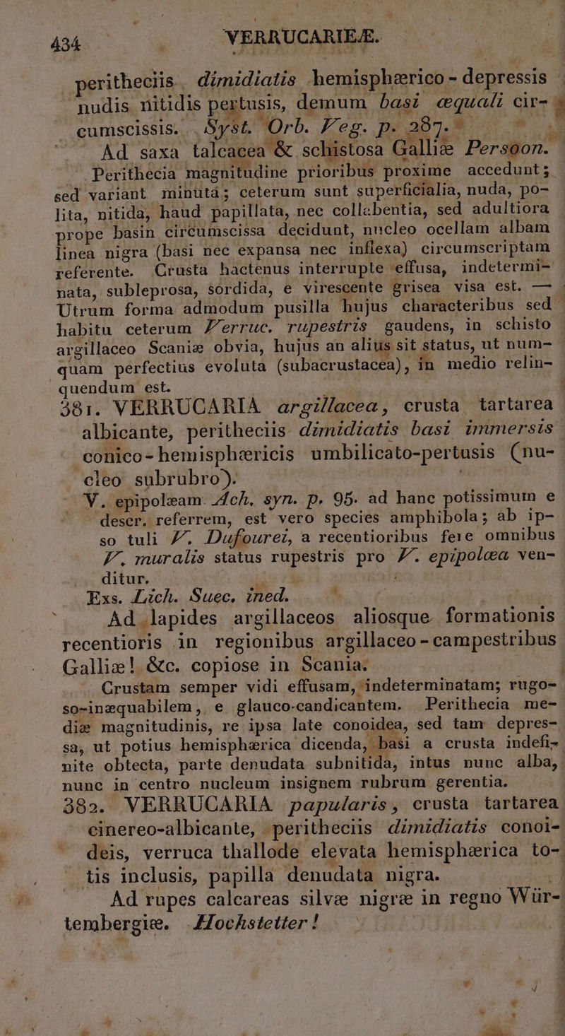 ritheciis , dinidiatis hemisphearico - depressis nudis. nitidis pertusis, demum basi «quali cir- 8 cumscissis. | Syst. Orb. Peg. p. 287. . Wa . Ad saxa talcacea &amp; schistosa Galle Persoon. c. Perithecia magnitudine prioribus proxime accedunt; sed variant minütd; celerum sunt superficialia, nuda, po- lita, nitida, haud papillata, nec collabentia, sed adultiora prope basin circumscissa decidunt, nucleo ocellam albam linea nigra (basi nec expansa nec inflexa) circumscriptam referente. .Crusta hactenus interruple effusa, indetermi- nata, subleprosa, sordida, e virescente grisea visa est. — : Utrum forma admodum pusilla hujus characteribus sed: habitu ceterum Z'erruc. rupestris gaudens, in schisto argillaceo Scanie obvia, hujus an alius sit status, ut num- quam perfectius evoluta (subacrustacea), in medio relin- quendum est. 381. VERRUCARIA argz/facea, crusta tartarea albicante, peritheciis dimidiatis basi, immersis conico- hemisphzricis umbilicato-pertusis (nu- cleo subrubro). | Wt V. epipoleam. Z4ch, syn. p. 95. ad hane potissimum e deser. referrem, est vero species amphibola; ab ip- so tuli Z. Dufourez, a recentioribus fee omnibus PF. muralis status rupestris pro Z7. epzpolca ven- ditur. 1 : Exs. Lich. Suec. ined. | — | | Ad lapides argillaceos aliosque. formationis recentioris in regionibus argillaceo - campestribus Galli; ! &amp;c. copiose in Scania. | Crustam semper vidi effusam, indeterminatam; rugo- so-inequabilem ,. e glauco-candicantem. — Perithecia me- dise magnitudinis, re ipsa late conoidea, sed tam depres- sa, ut potius hemisphzrica dicenda, basi a crusta indefi- nite obtecta, parte denudata subnitida, intus nunc alba, nunc in centro nucleum insignem rubrum gerentia. 38». VERRUCARIA papu/laris, crusta tartarea cinereo-albicante, perithecis dZmzdiatis conoi- deis, verruca thallode elevata hemispharica to- tis inclusis, papilla denudata nigra. e .. Ad rupes calcareas silvae nigre in regno Wür- tembergie. |AJZochstetter ! €